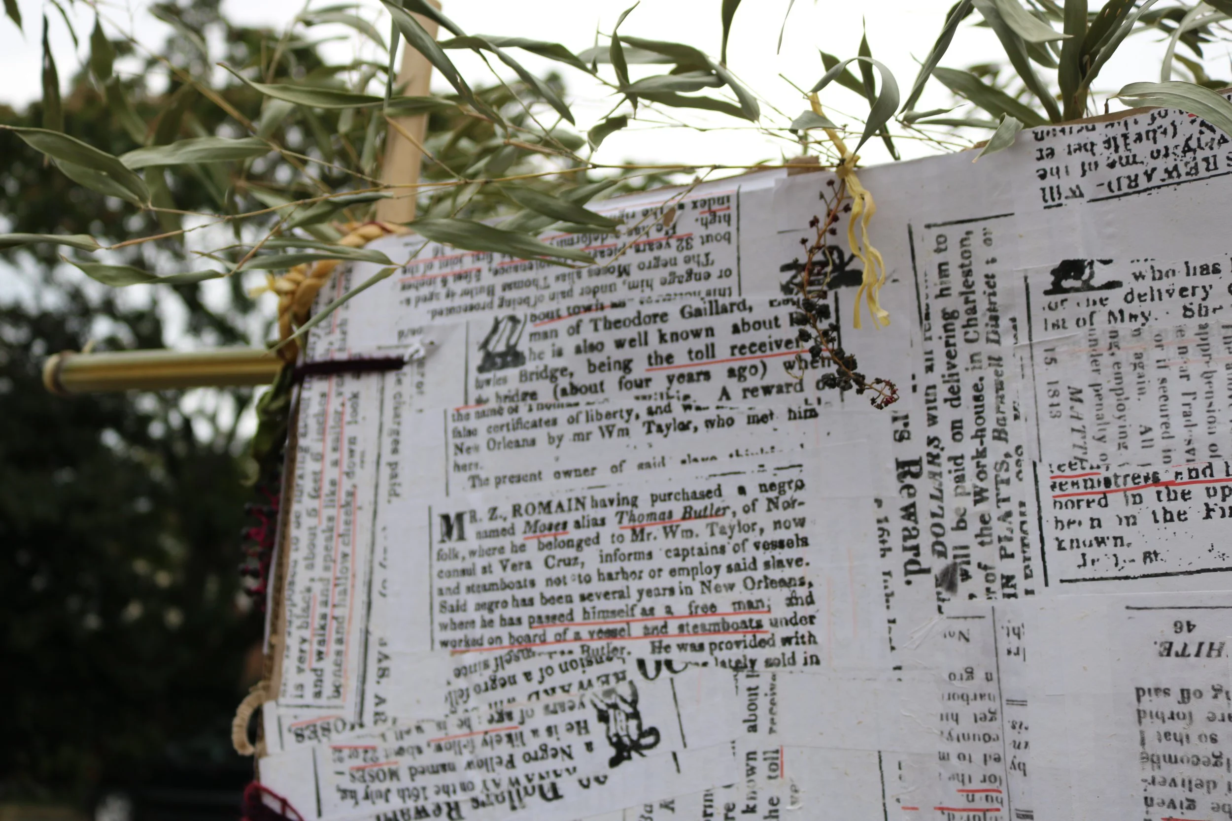  photographed by Jessica Valoris 