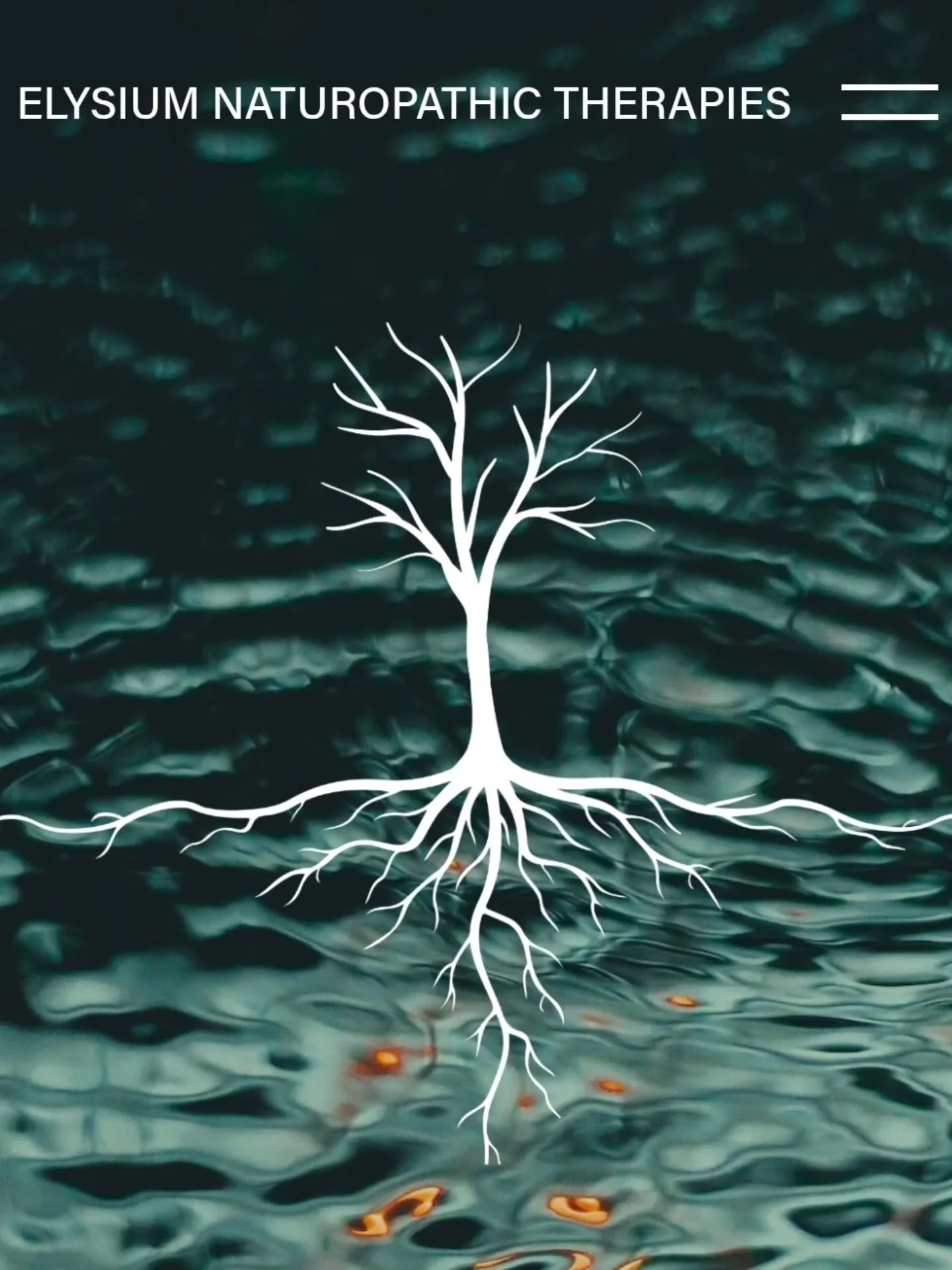 Client Spotlight: Benjamin Mcintosh | Elysium Naturopathic Therapies. 

A past client, but Benjamin is still working away, studying, and honing his skills. Alongside his plethora of holistic hands-on Therapies, he has studies herbalism, fermentation,