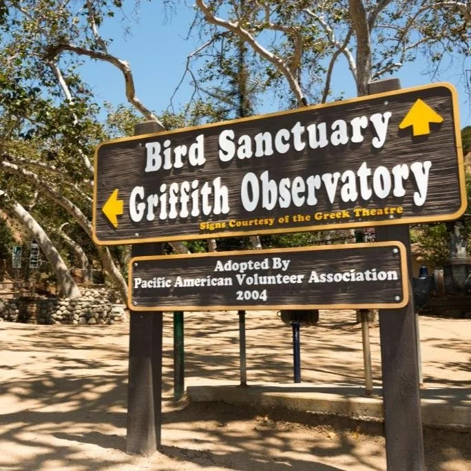 bird-sanctuary-1.jpg