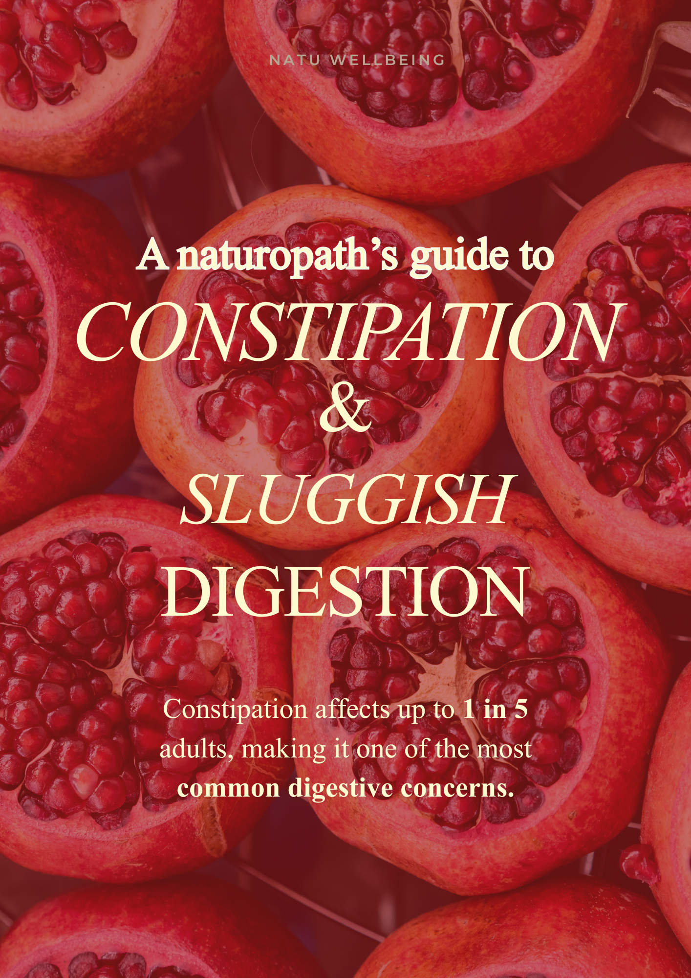 rebuild your gut (2).png