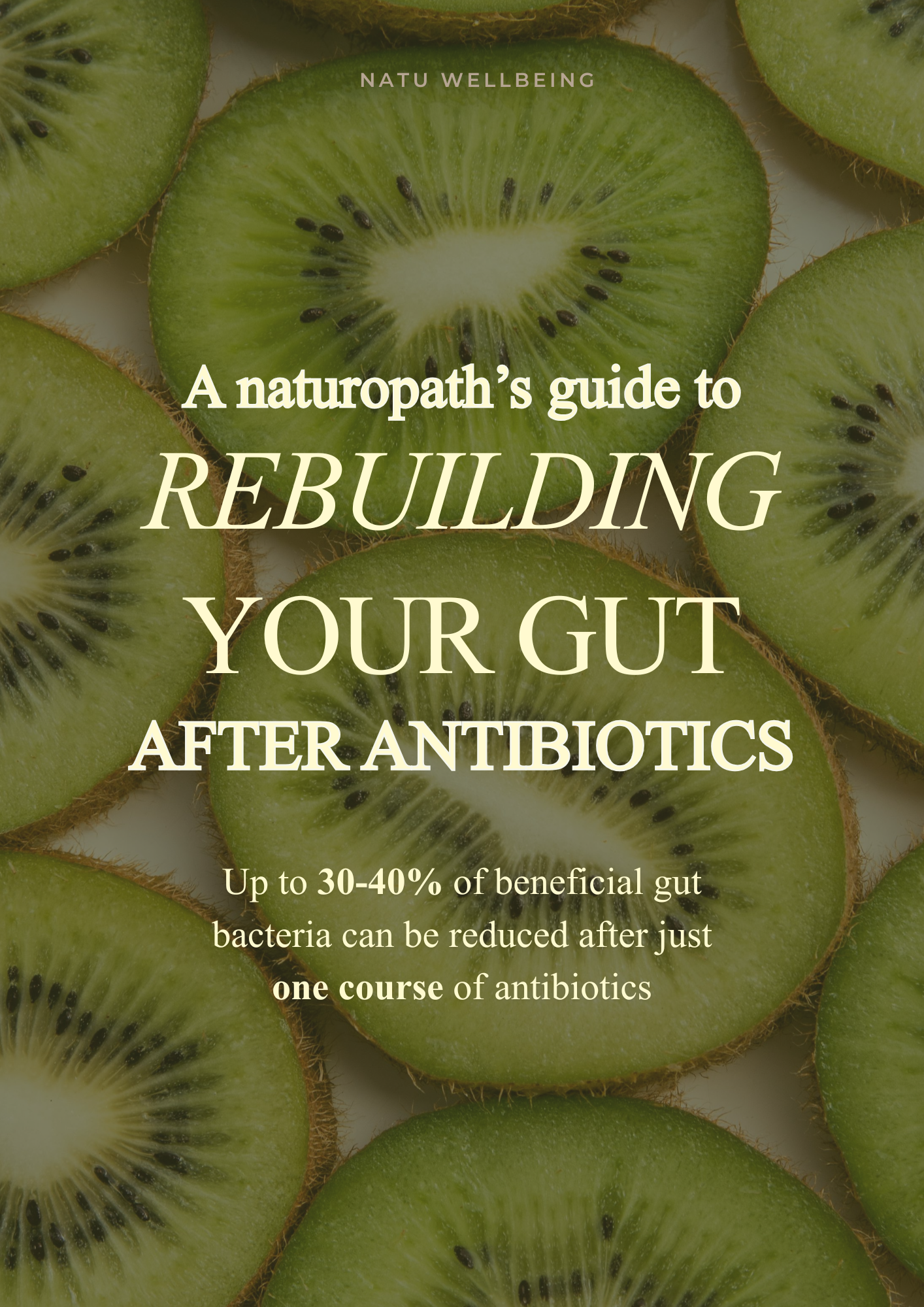 Post-Antibiotic Gut Health | A Naturopath’s Guide