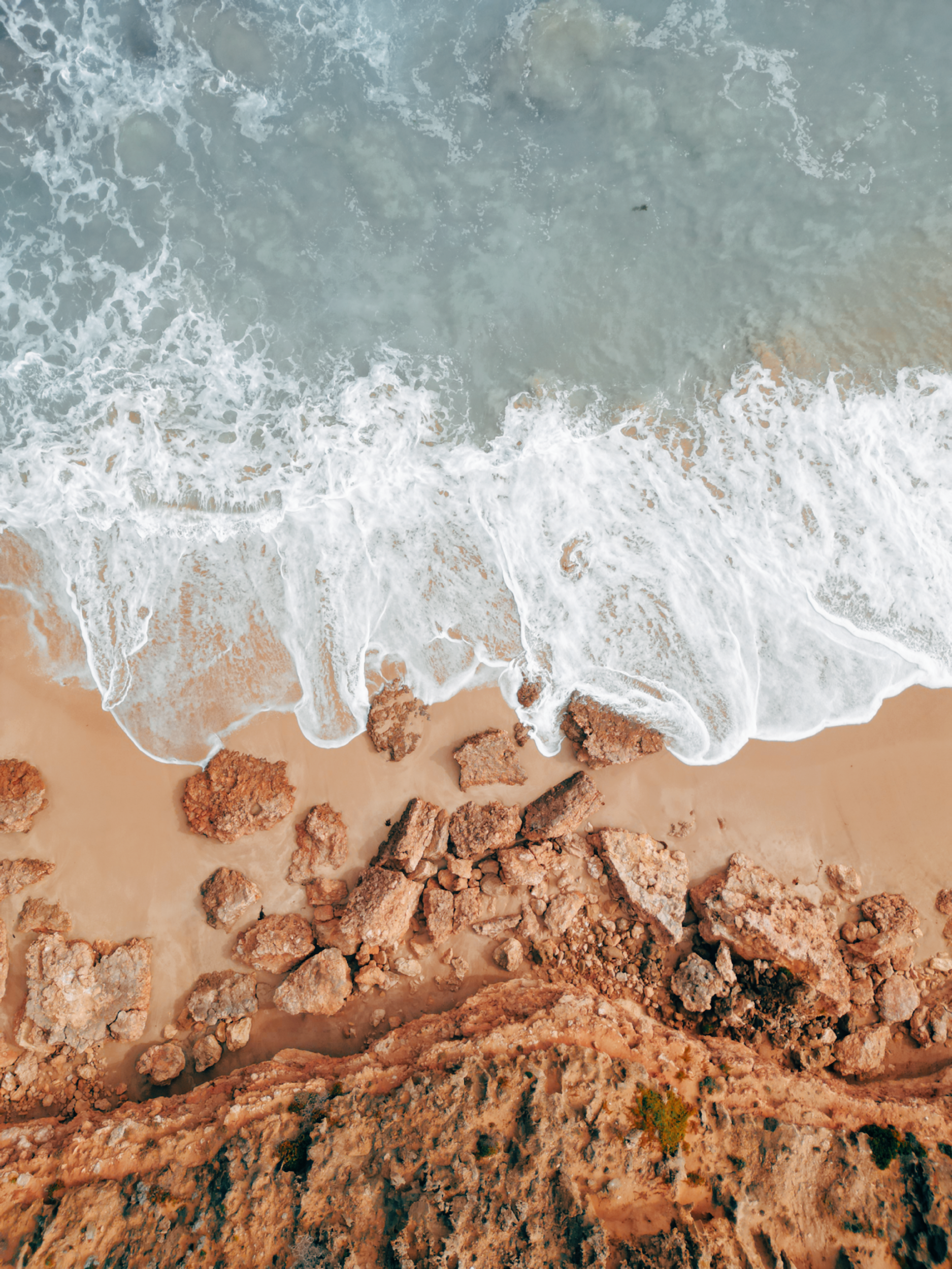 ocean icon for conscious leadership program