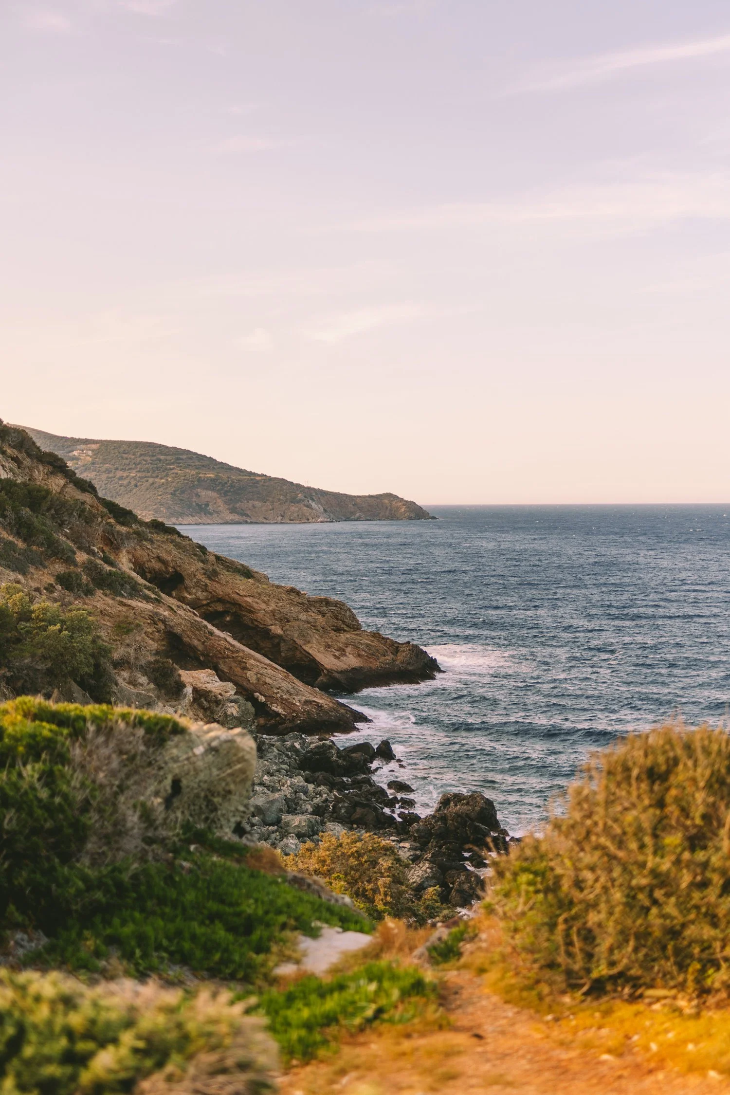 Cocktail Hour &amp; landscape