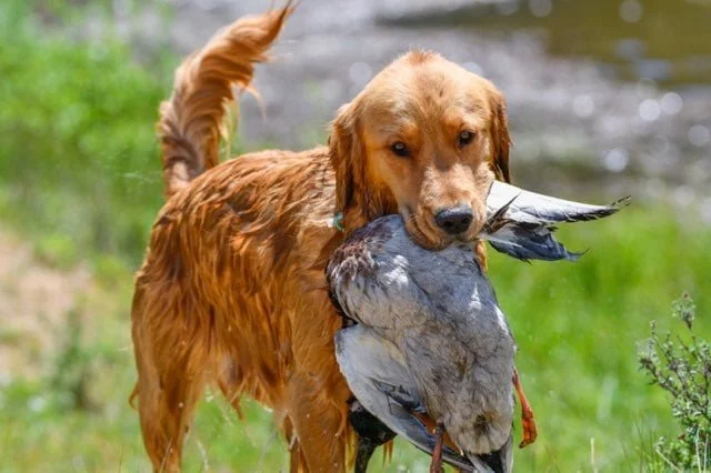 24c3d58e-00e7-4230-91c5-d125cd52a77e (1).jpg