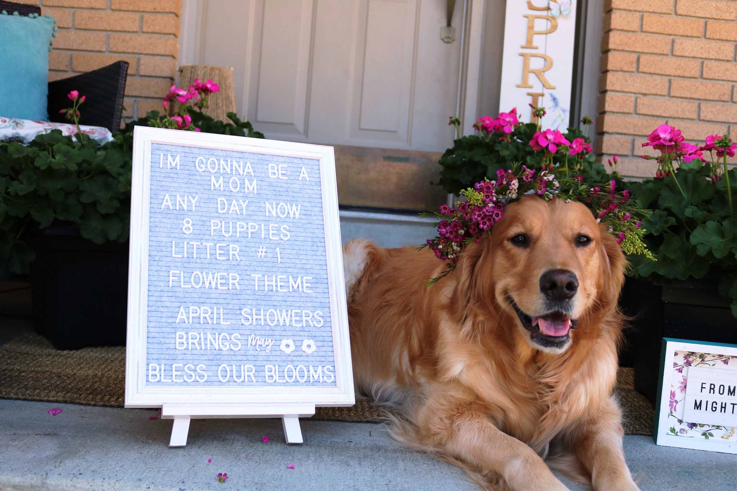 00Smile big eyes.JPG