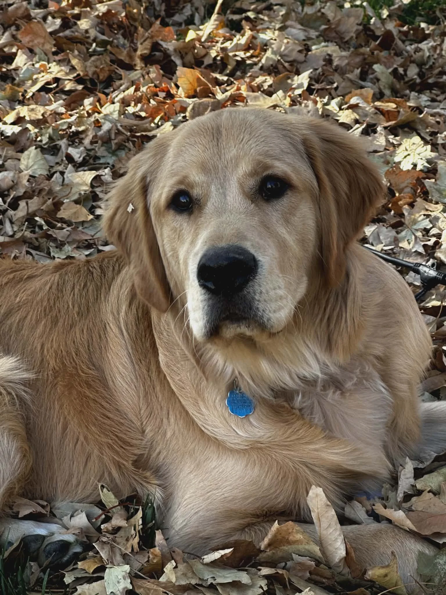 289e21ae-12cc-4baf-8b5e-896d9b78014b (1).jpg