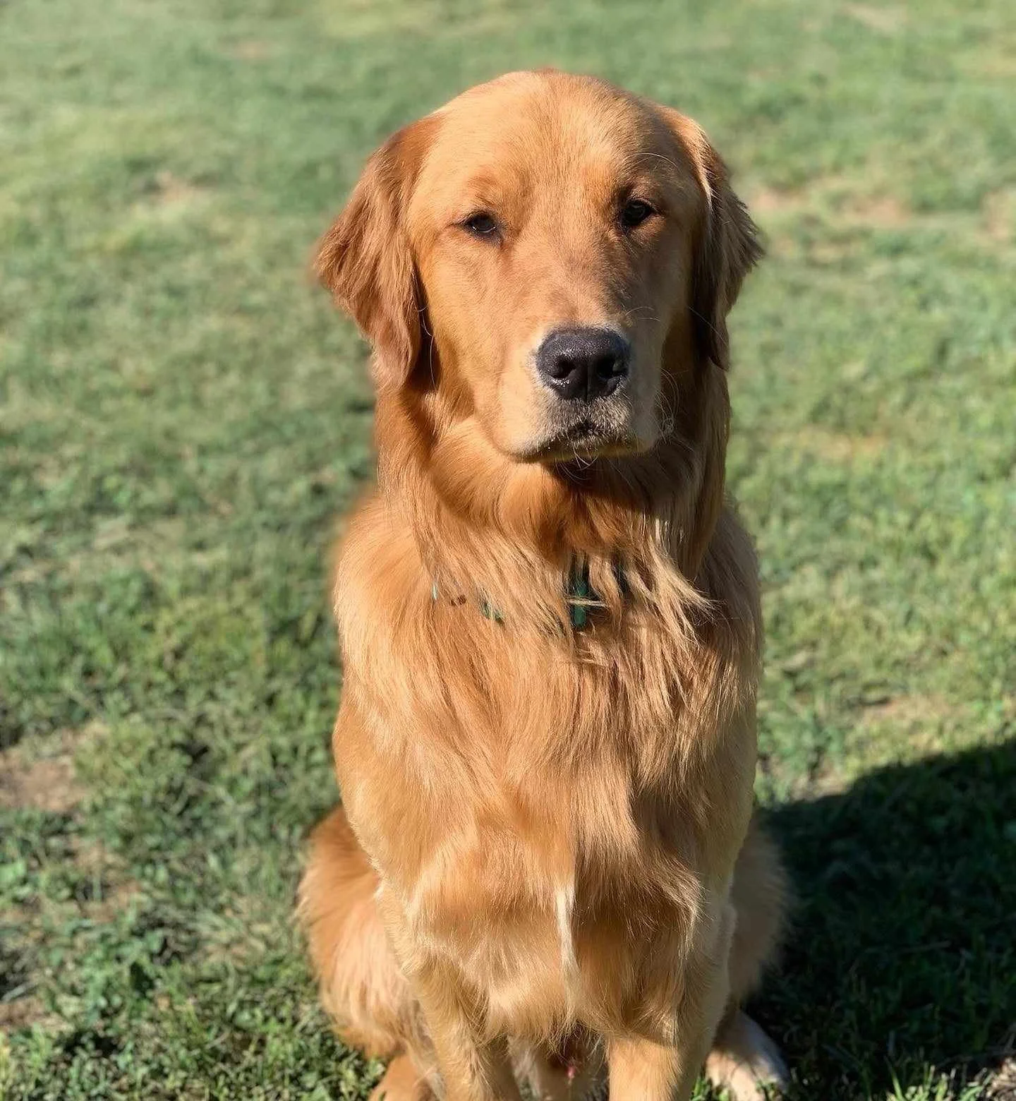 c8469bfb-d18d-4ba9-859c-12433407158b (1).jpg