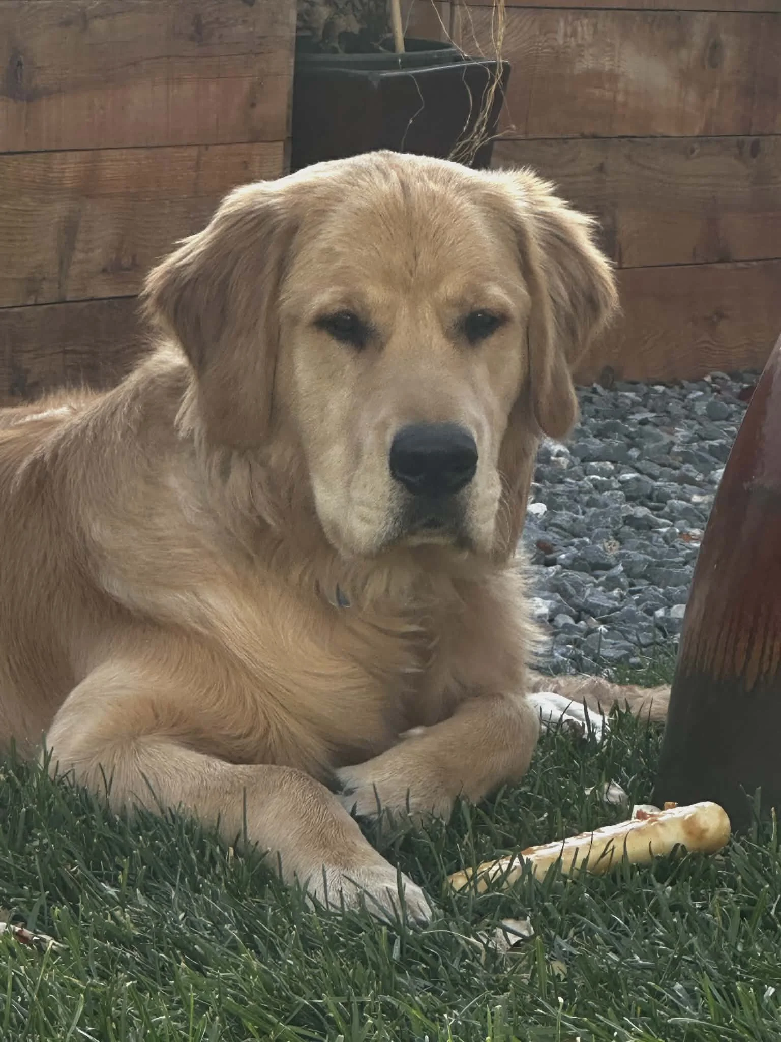 01e05f01-c69d-4db7-8a01-324a7ef8fbd2 (1).jpg