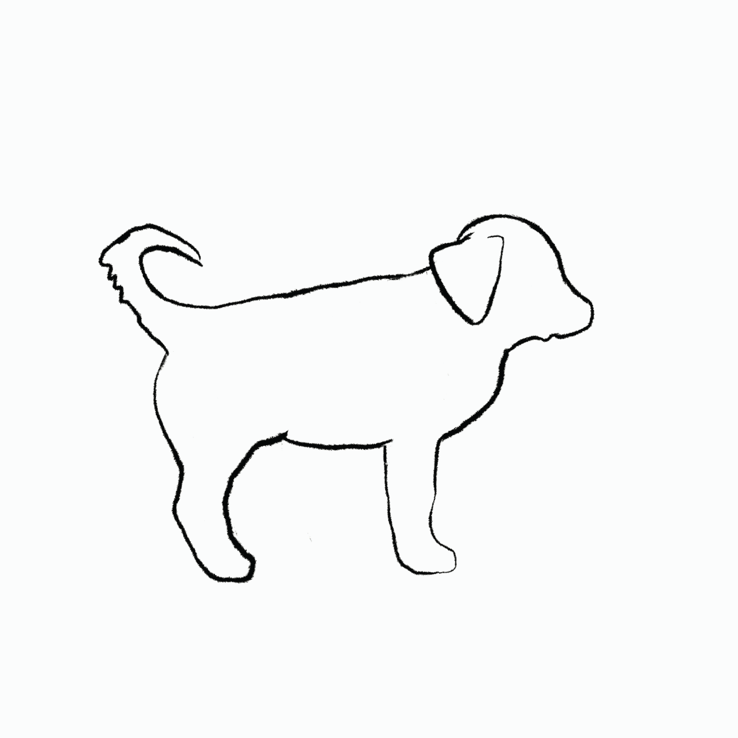 I don’t really know my dog… — a little bit feral