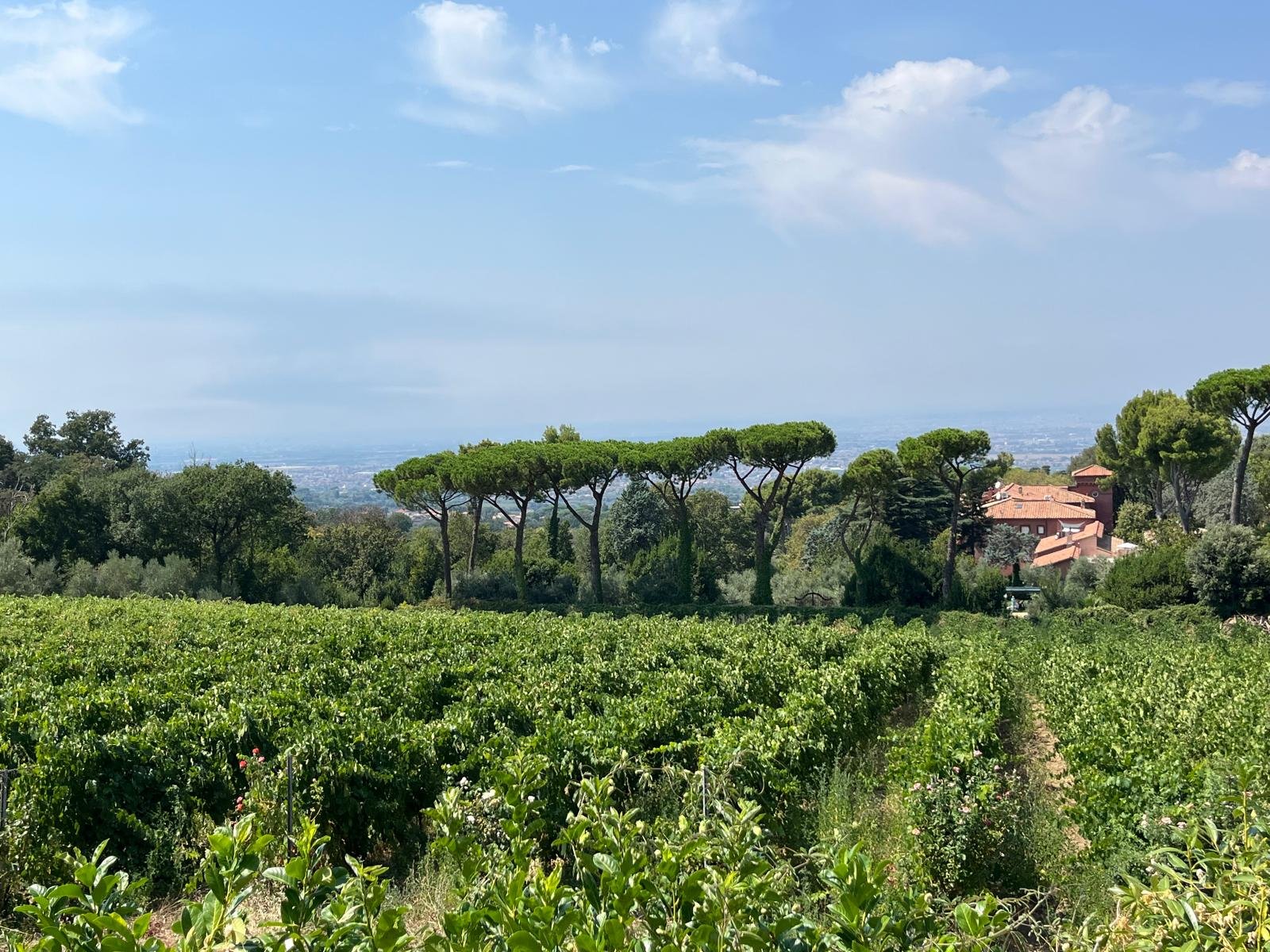 WhatsApp Image 2026-04-15 at 16.16.20 (11).jpeg