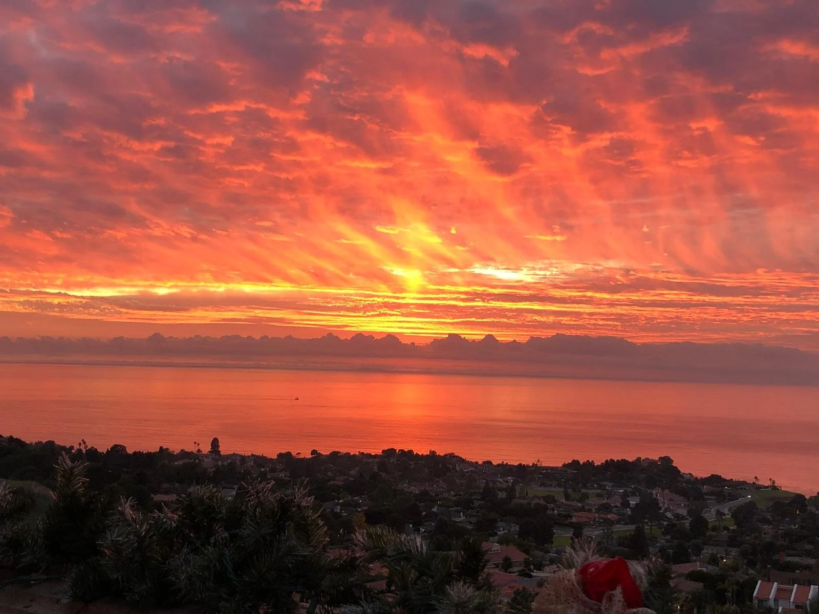 WhatsApp Image 2026-04-12 at 17.19.19 (5).jpeg