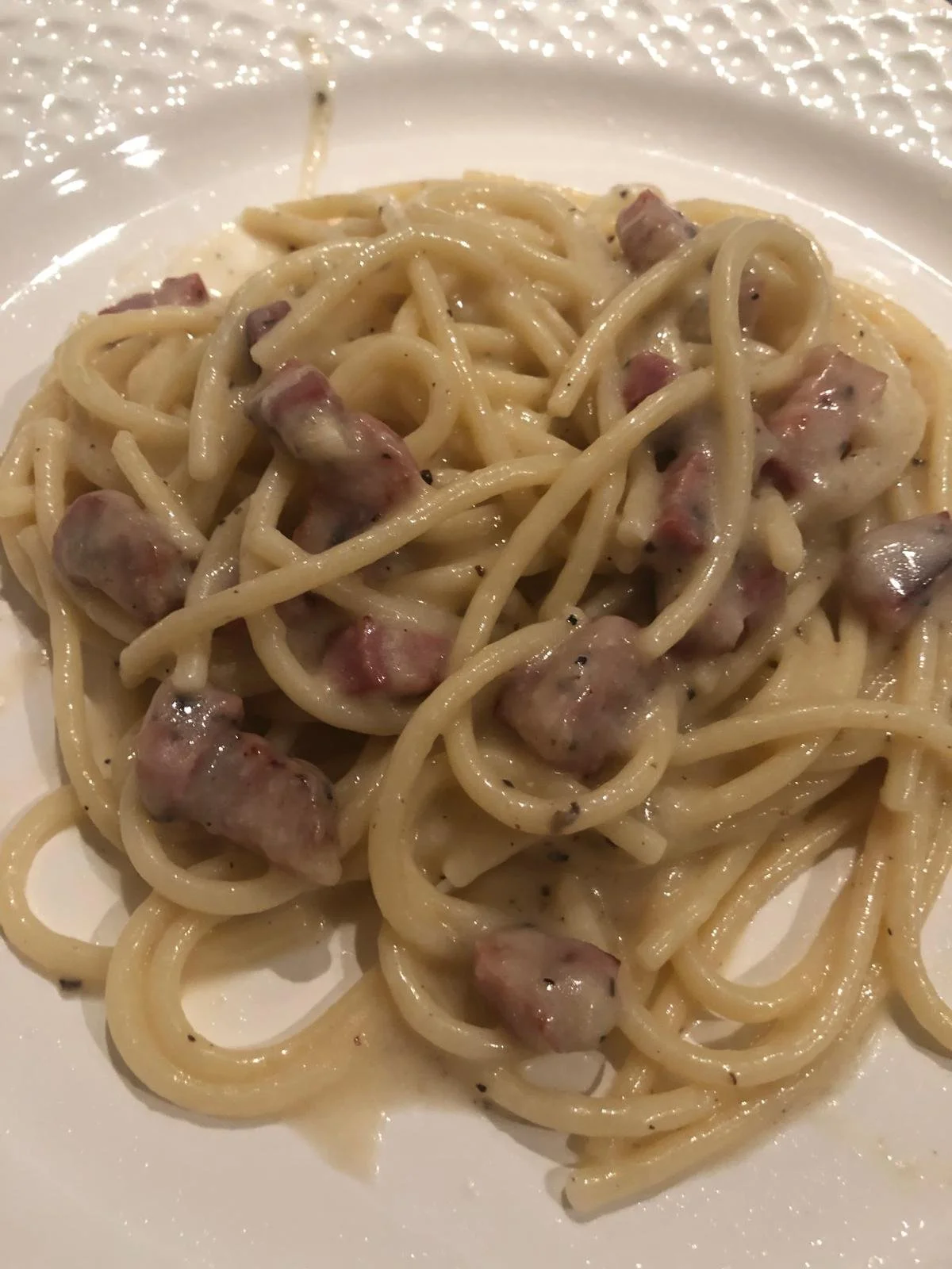 WhatsApp Image 2026-04-12 at 17.19.18 (8).jpeg