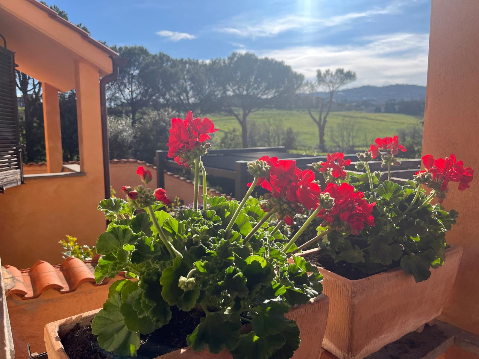 WhatsApp Image 2026-04-12 at 17.19.20 (4).jpeg