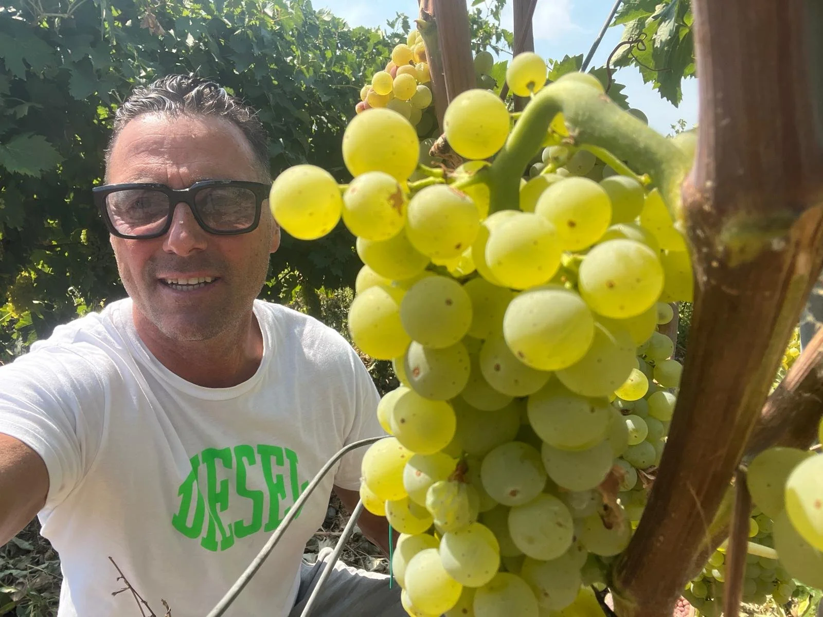 WhatsApp Image 2026-04-15 at 16.16.20 (8).jpeg