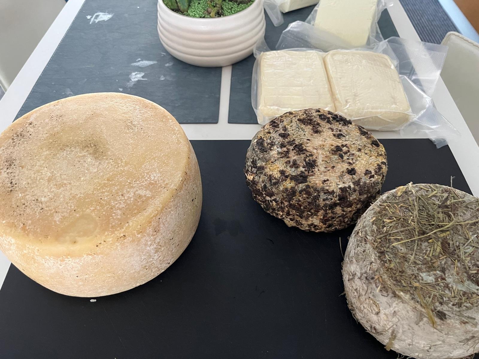 WhatsApp Image 2026-04-12 at 18.01.21 (4).jpeg