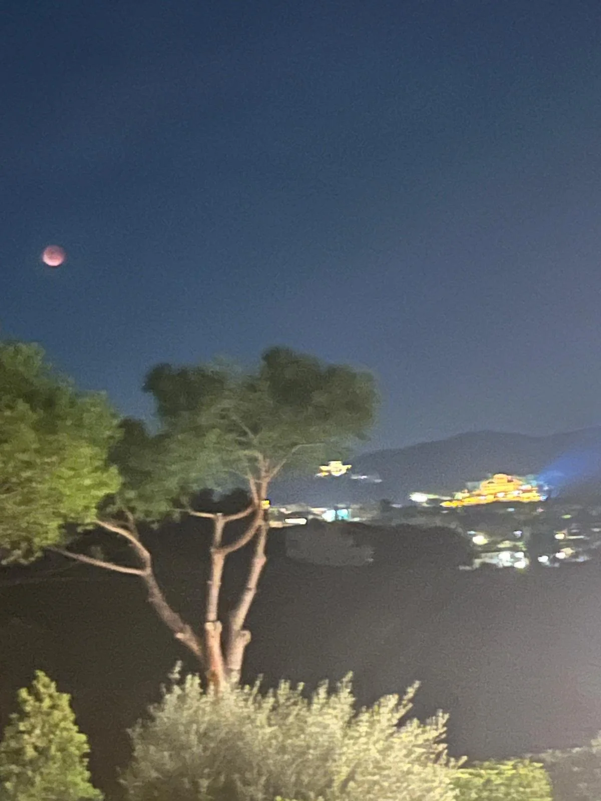 WhatsApp Image 2026-04-15 at 16.16.20 (1).jpeg