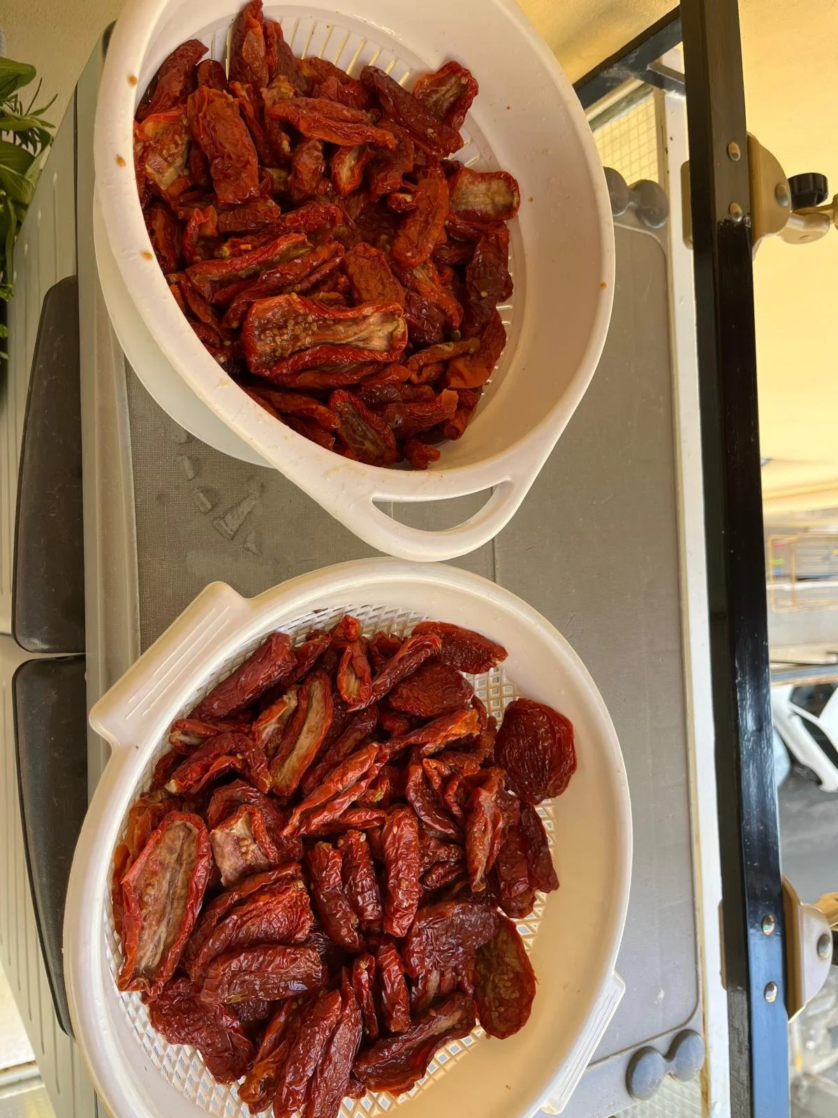 WhatsApp Image 2026-04-15 at 16.16.20 (7).jpeg