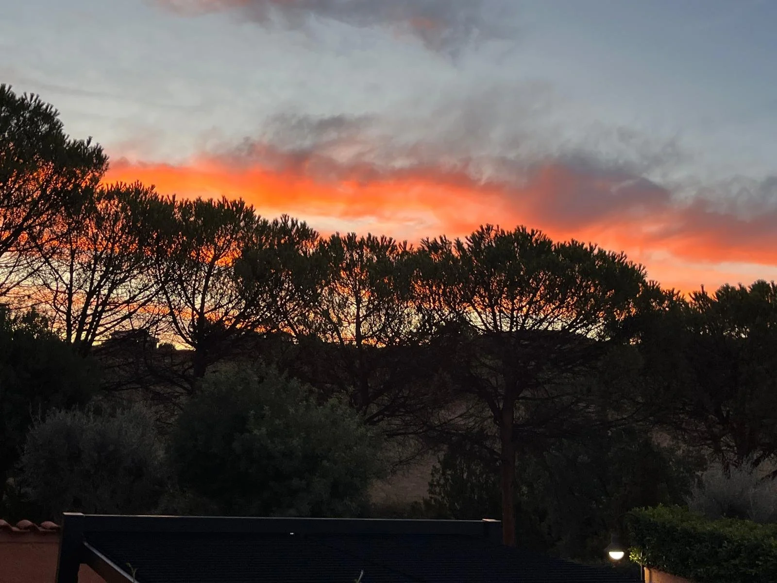 WhatsApp Image 2026-04-12 at 17.19.22 (1).jpeg