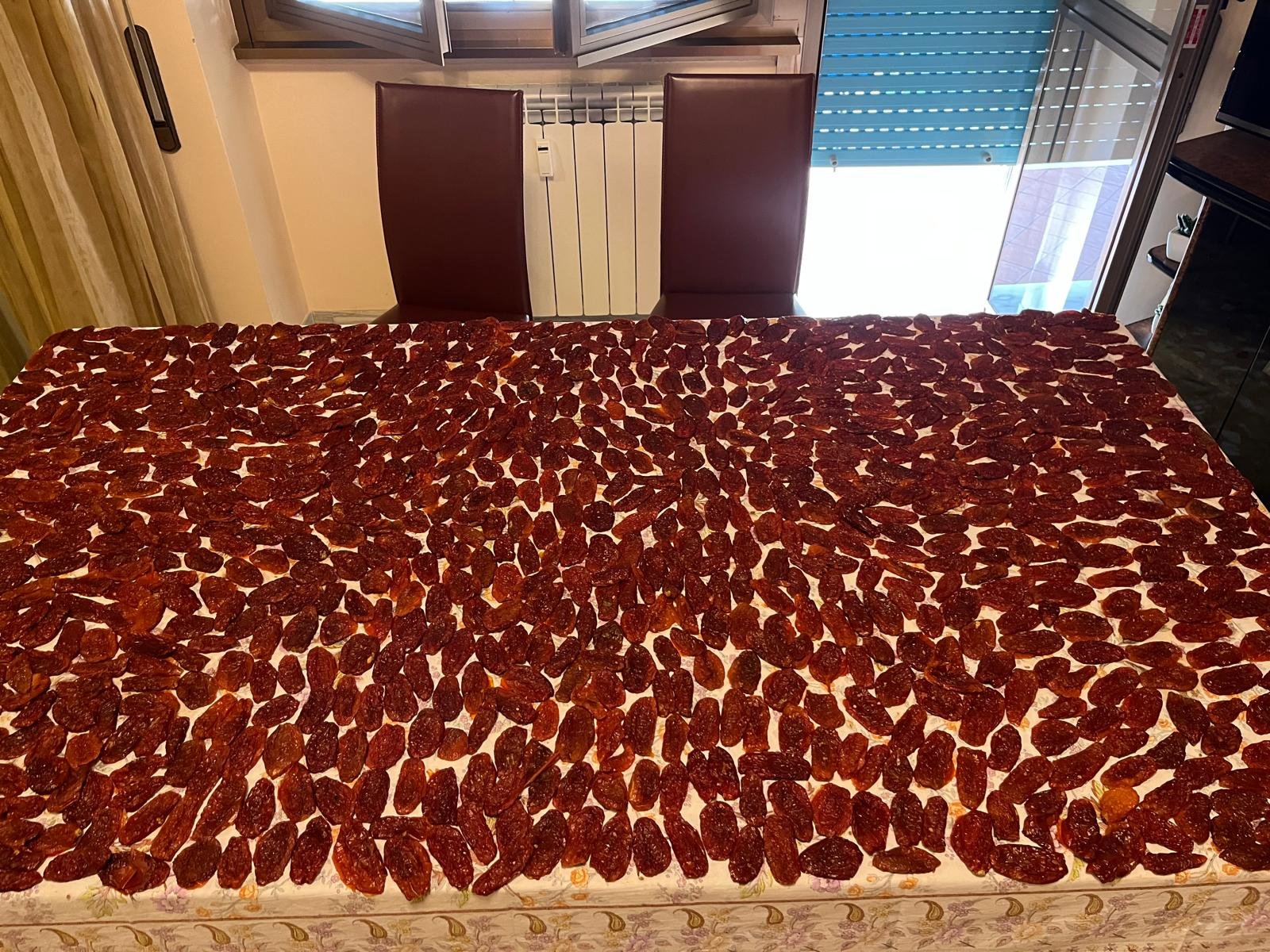 WhatsApp Image 2026-04-15 at 16.16.20 (6).jpeg