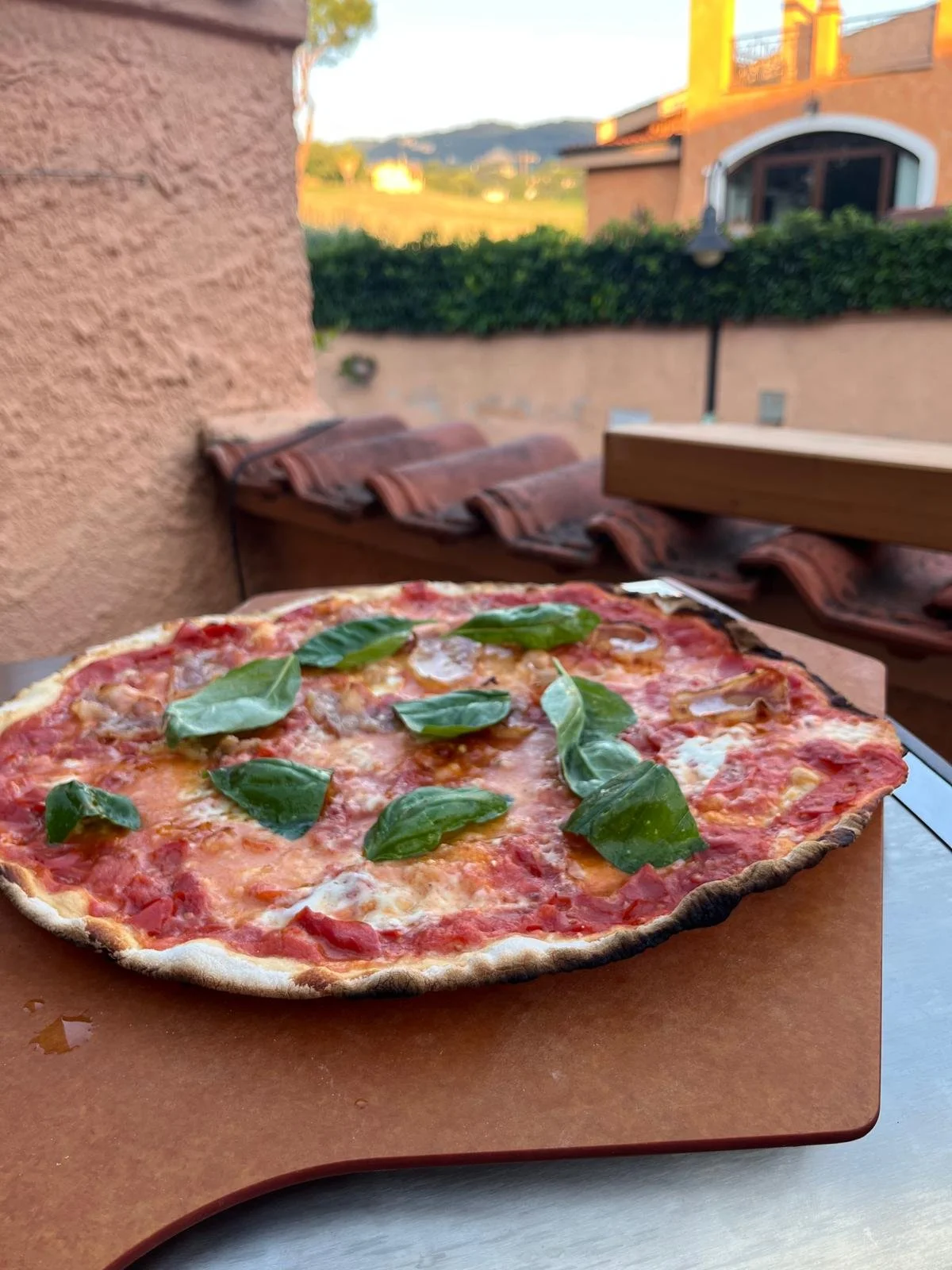 WhatsApp Image 2026-04-12 at 18.01.19.jpeg