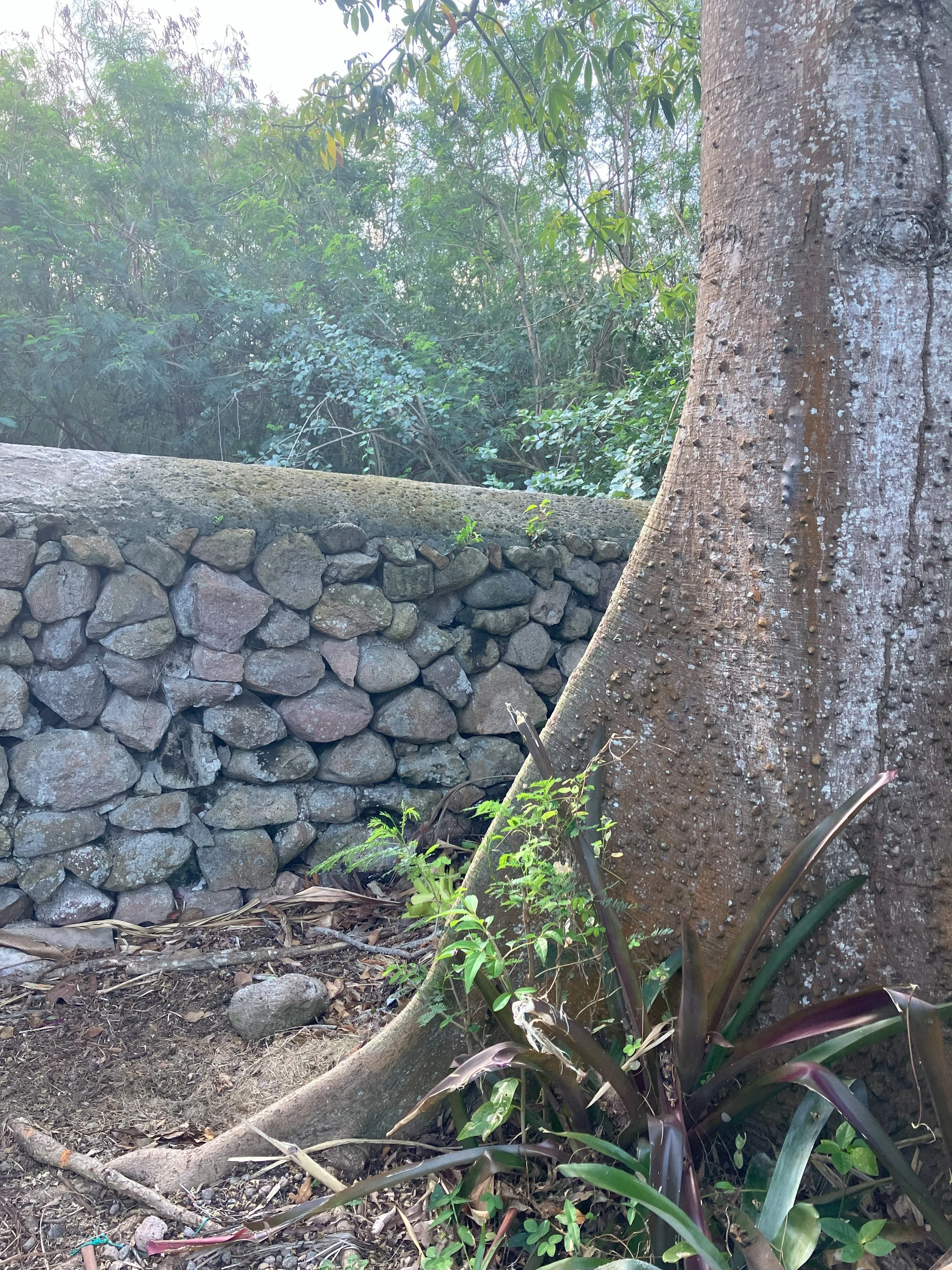 IMG_7518 (1).jpeg