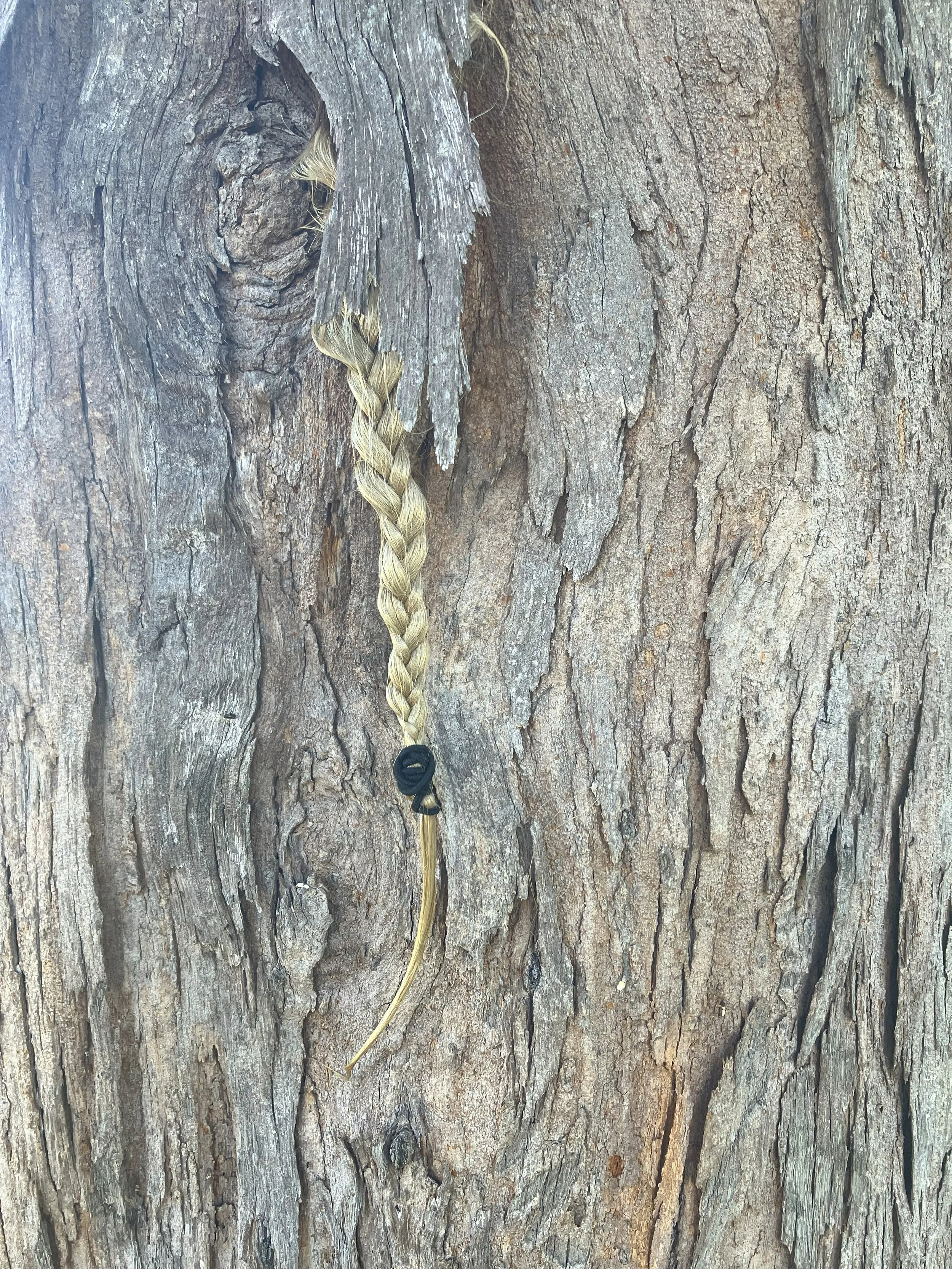 bleached.braid.jpeg