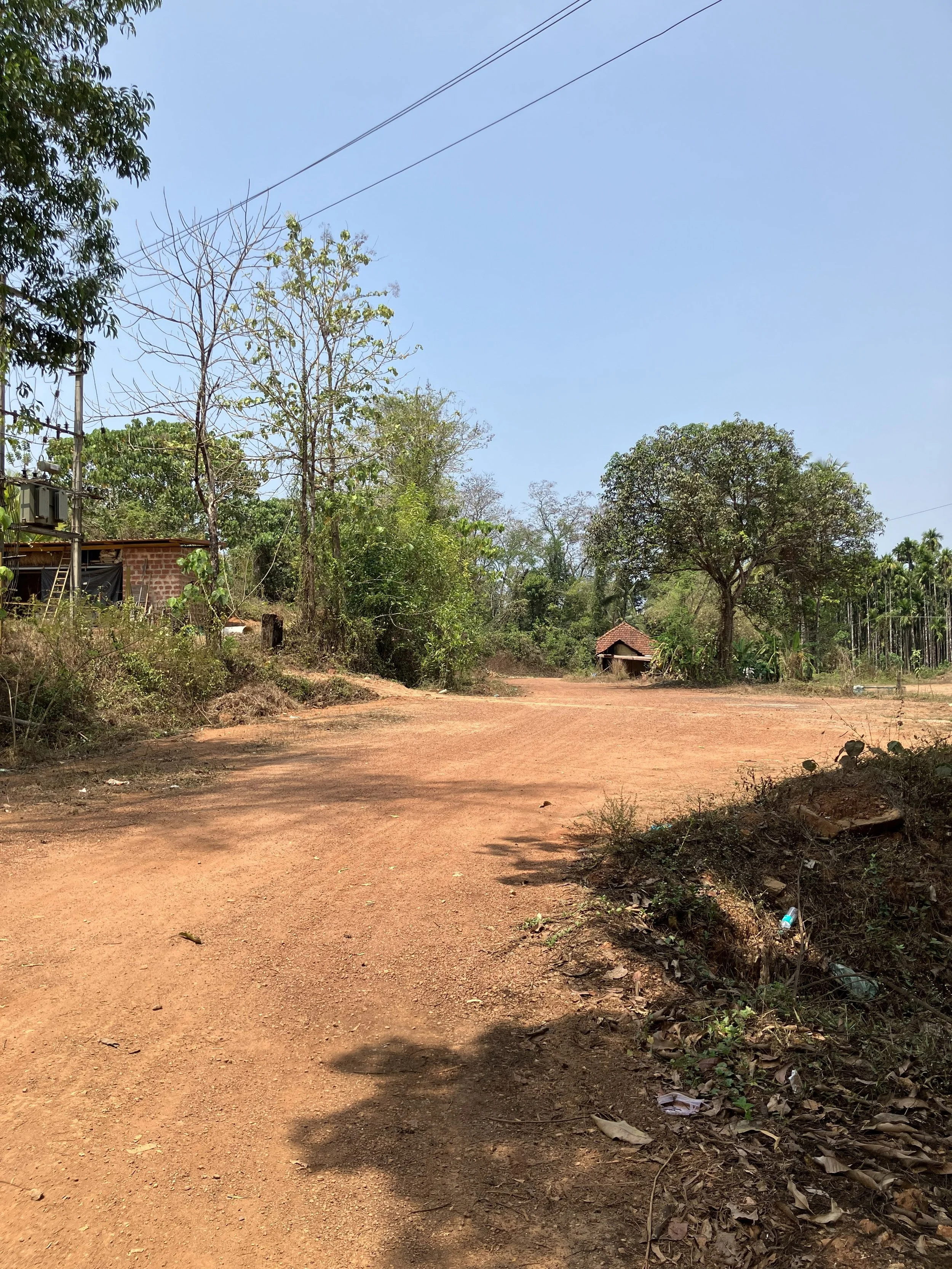 red.road.sadhu.jpeg