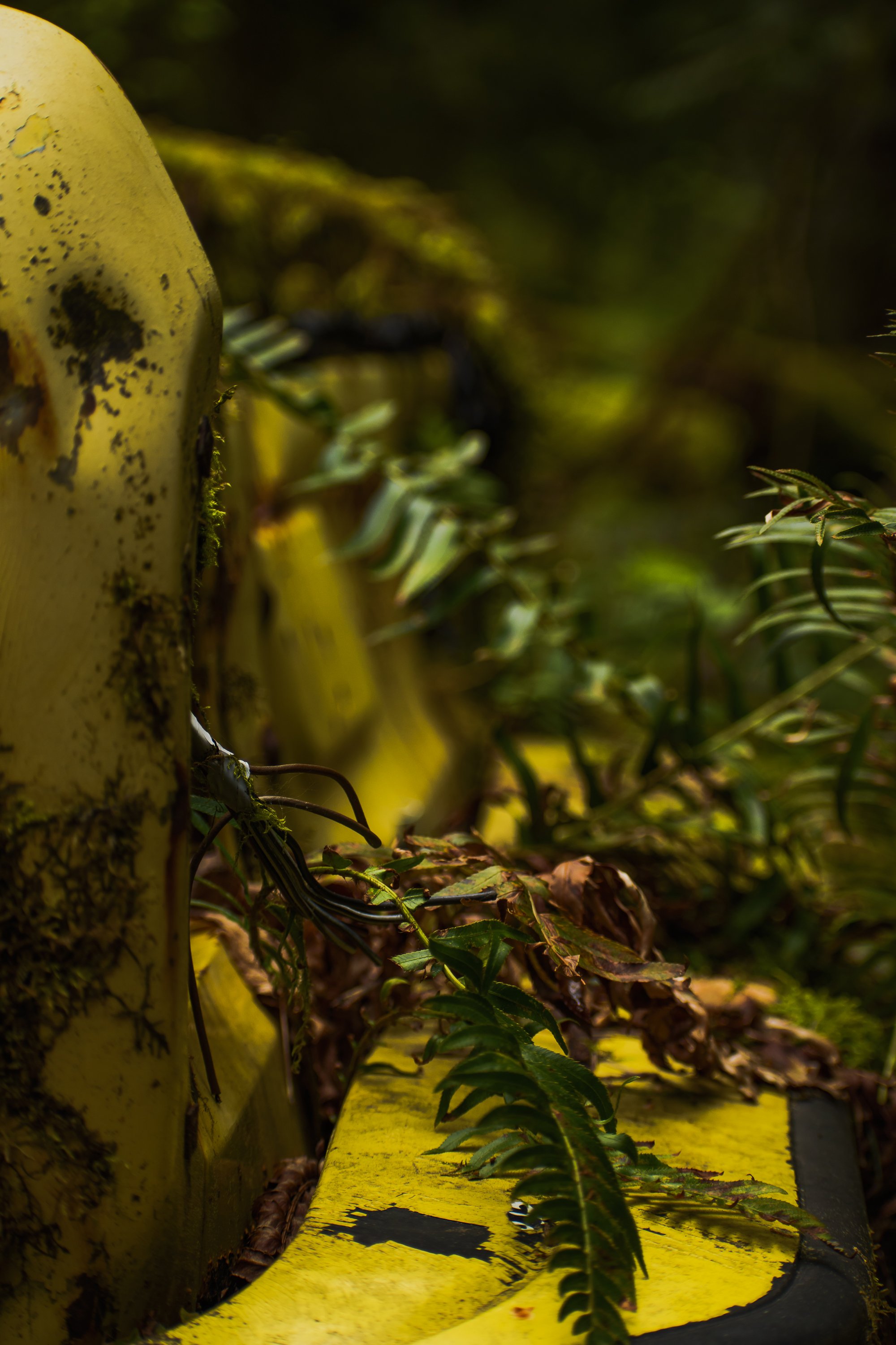 Yellow Car Close Up Shot 2000x3000 - 72ppi-3.jpg