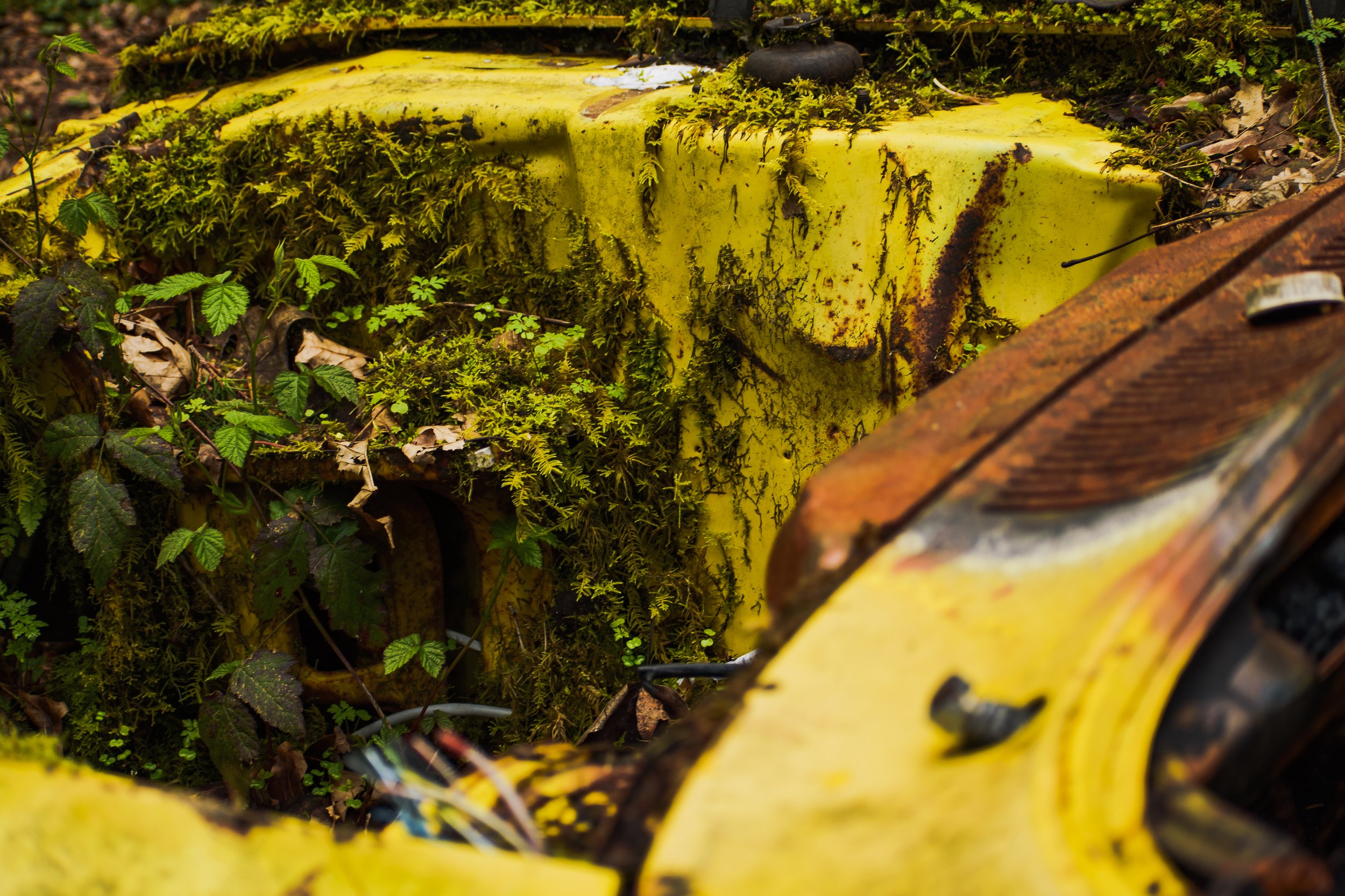 Yellow Car Close Up Shot 3000x2000 - 72ppi-2.jpg