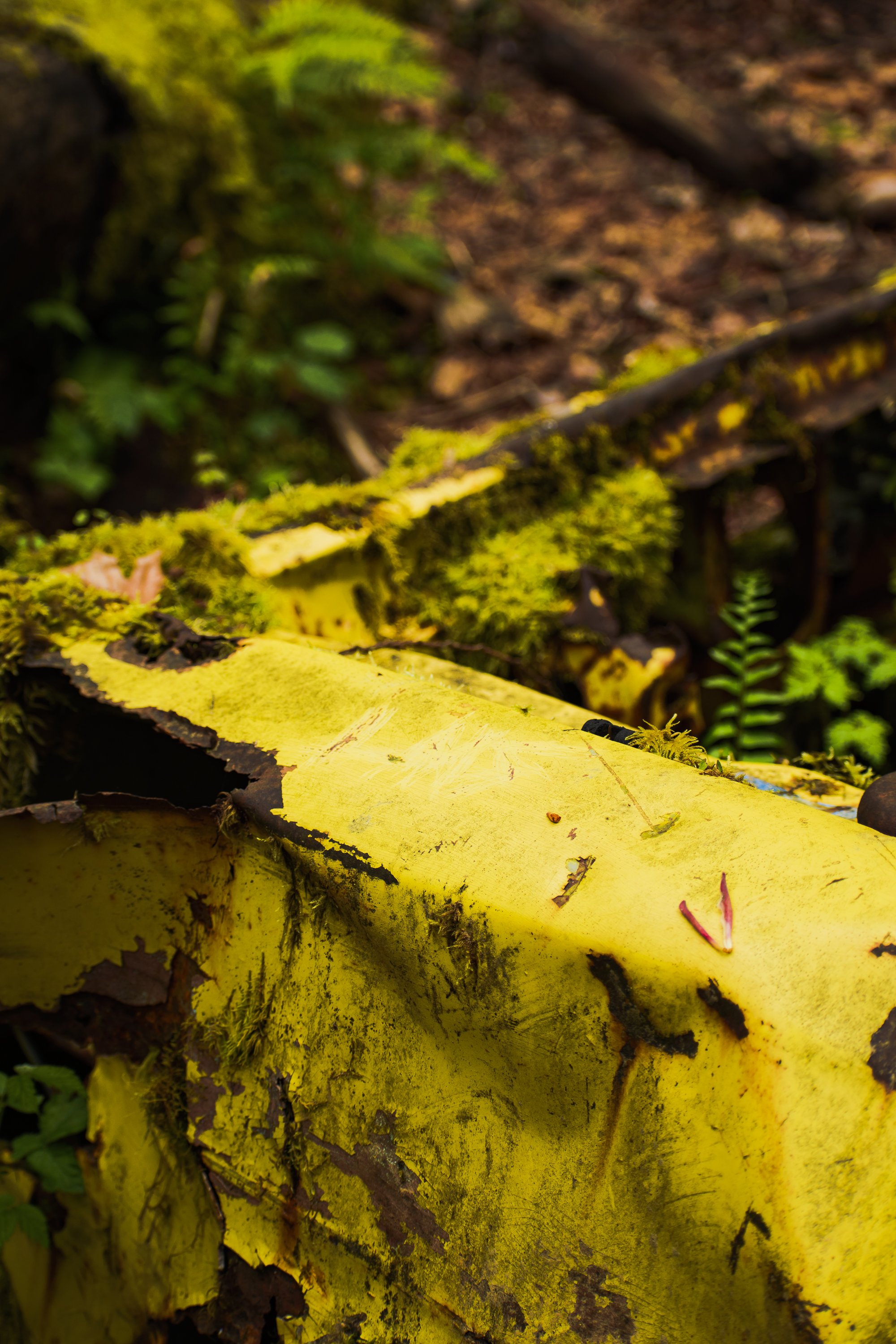 Yellow Car Close Up Shot 2000x3000 - 72ppi-6.jpg