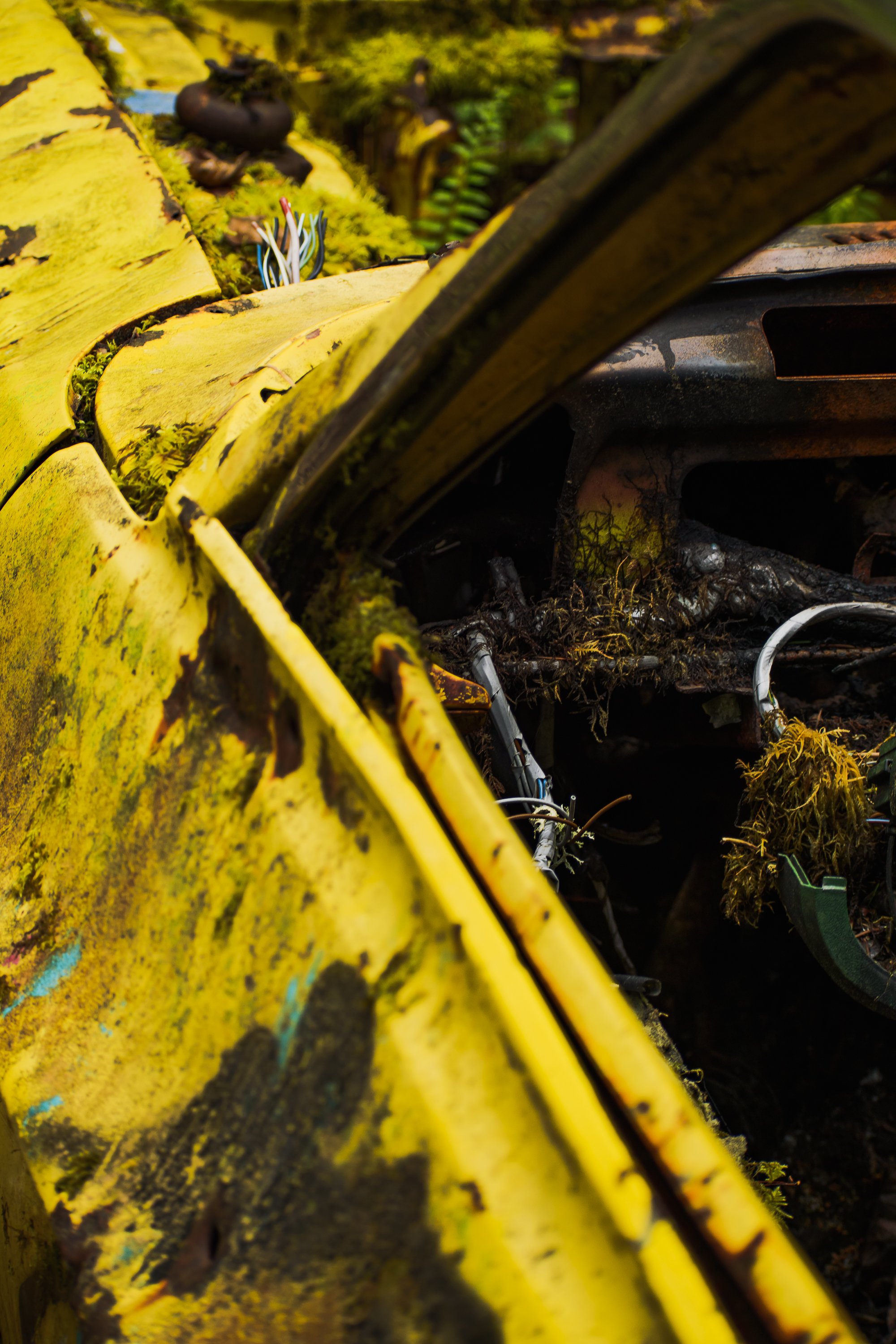 Yellow Car Close Up Shot 2000x3000 - 72ppi-4.jpg