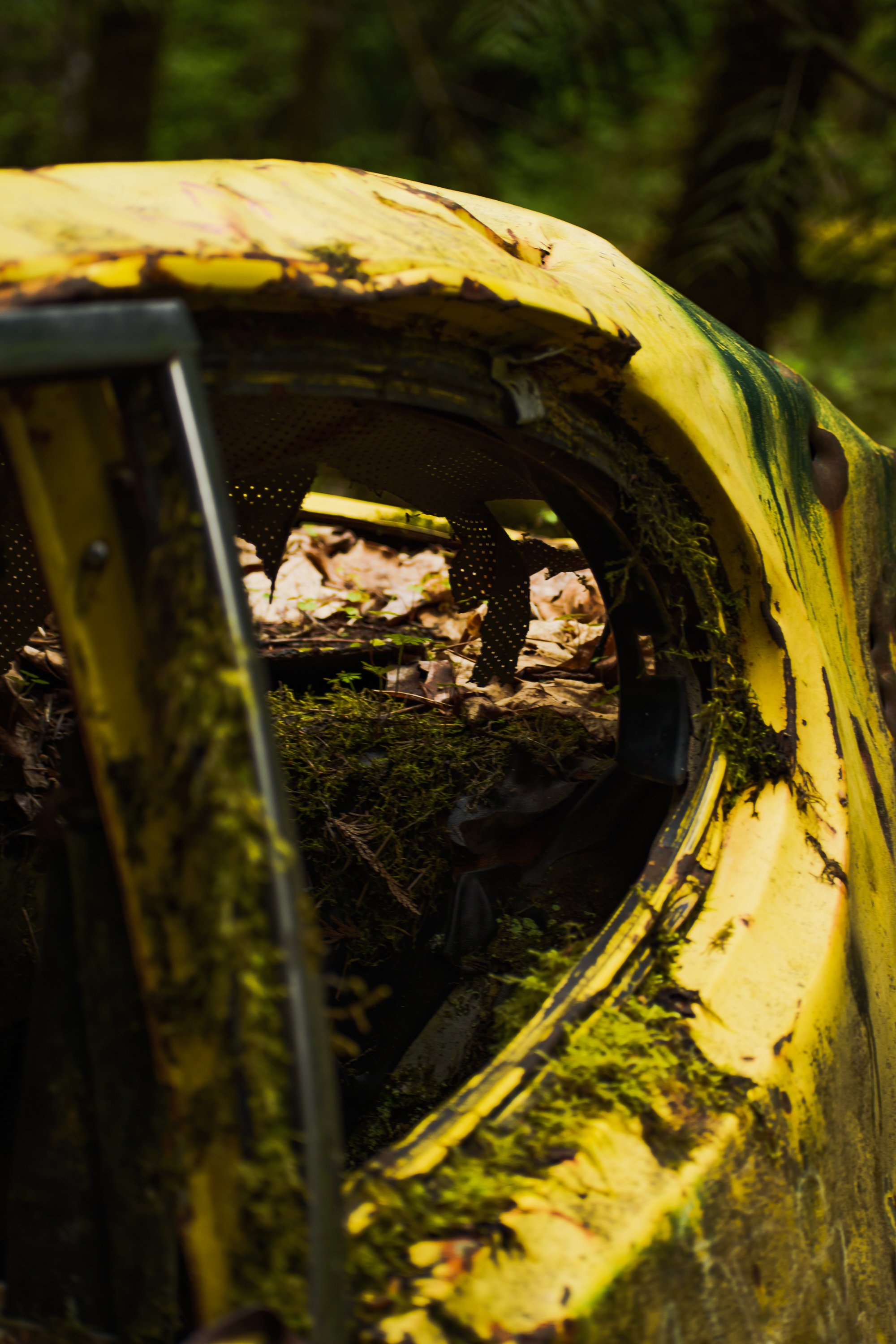 Yellow Car Close Up Shot 2000x3000 - 72ppi-5.jpg