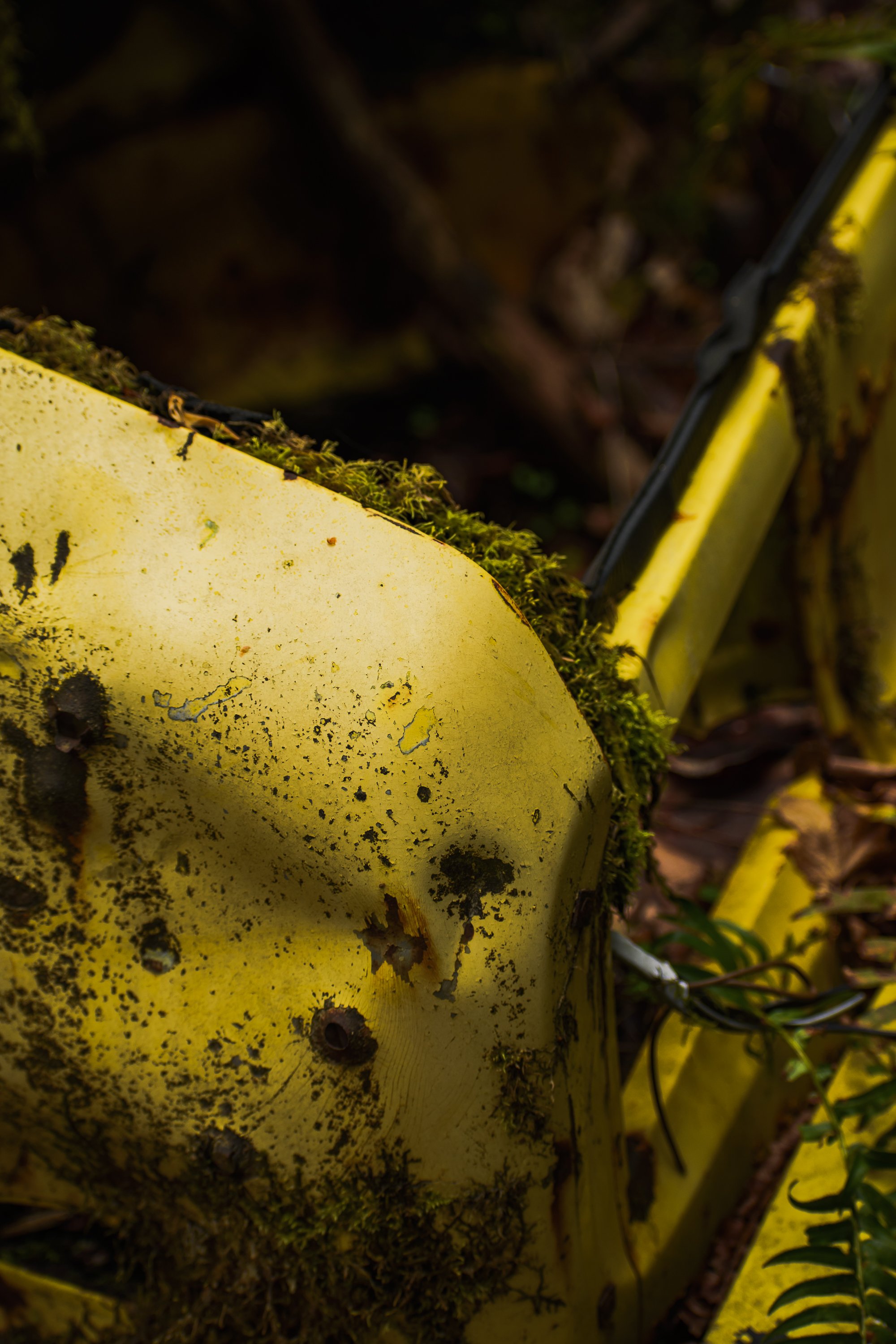 Yellow Car Close Up Shot 2000x3000 - 72ppi-2.jpg