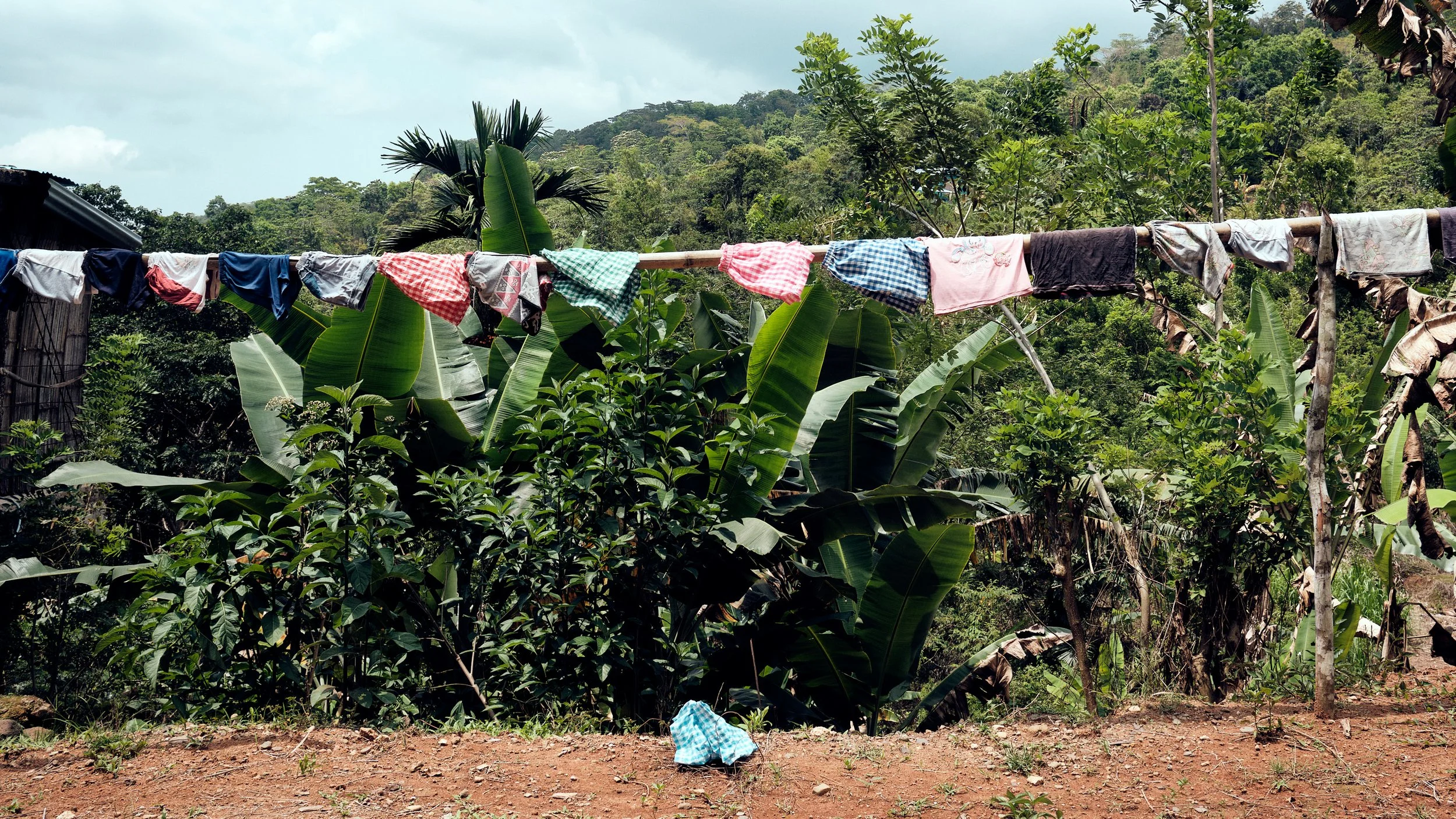 Indonesia  Oct 11 2025 86.jpg