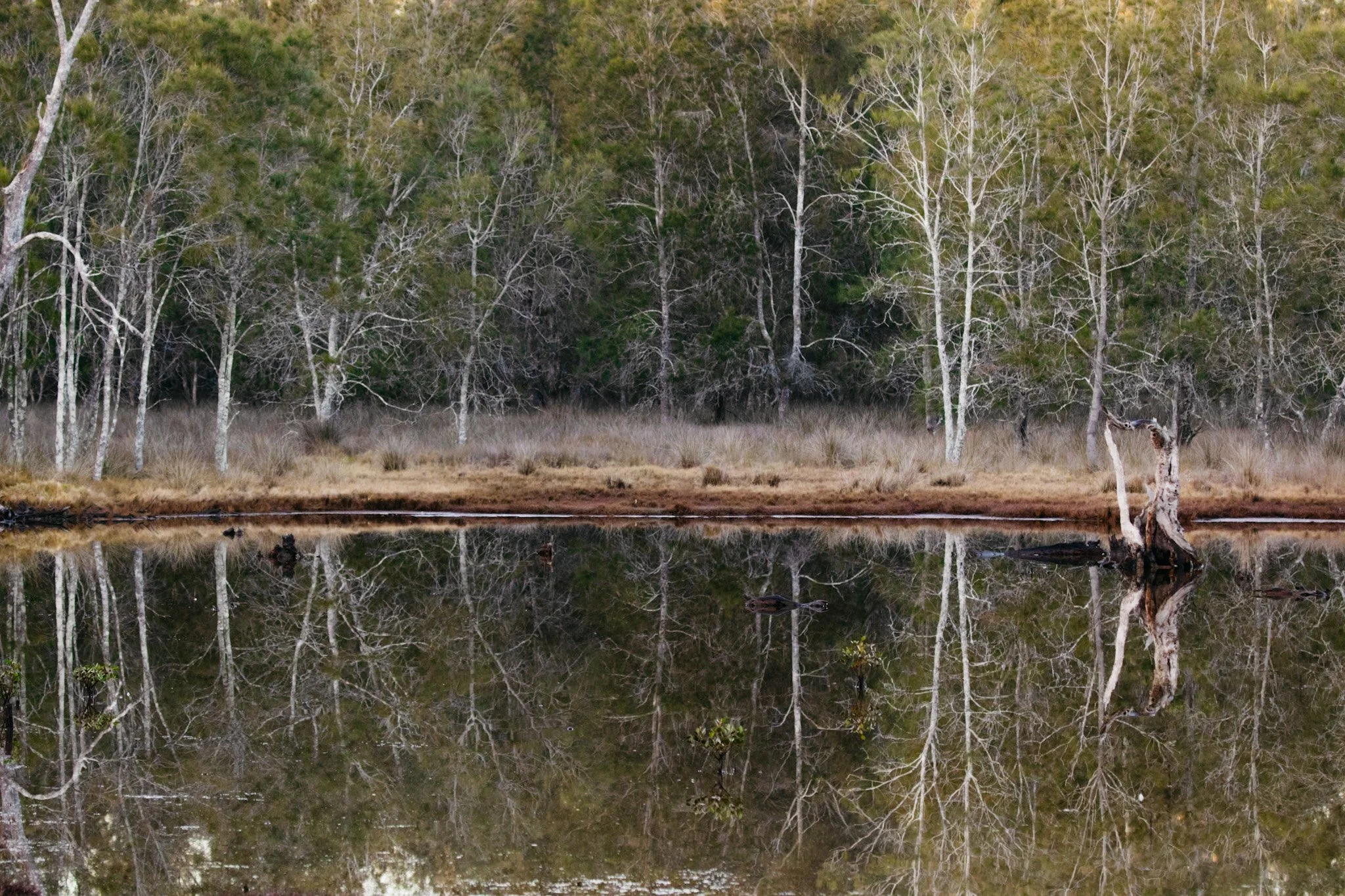 133A5165.jpg