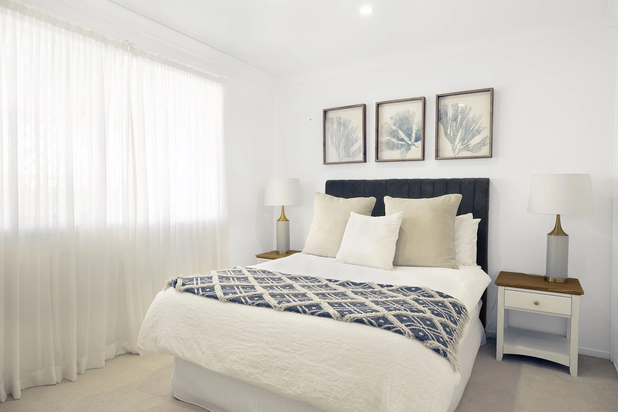 86 Dolphin_Ballina_20.jpg