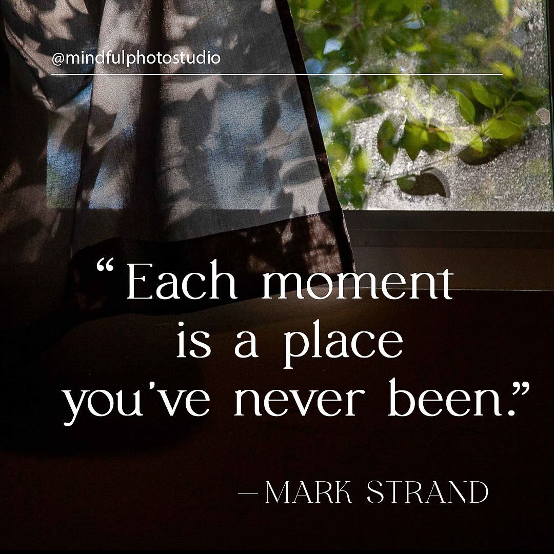 I&rsquo;ve been reading more poetry lately, mostly Mary Oliver, but came across these words perfectly placed by Mark Strand. Here is a beautiful reminder that every moment is new. #mindfulphotography #mindfulmoment