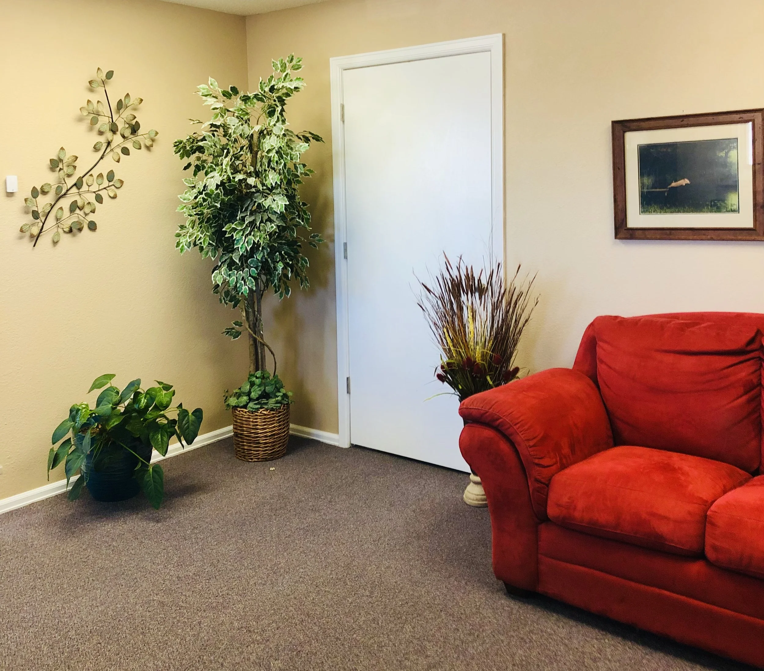 Haven Direct Primary Care