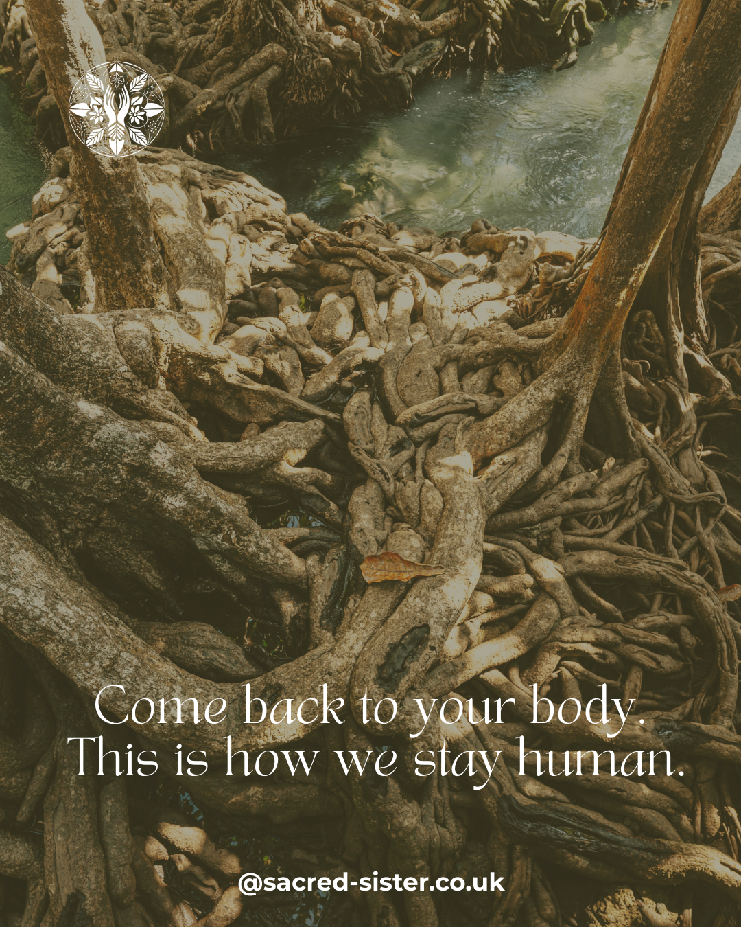 The Time to Come Home Is Now