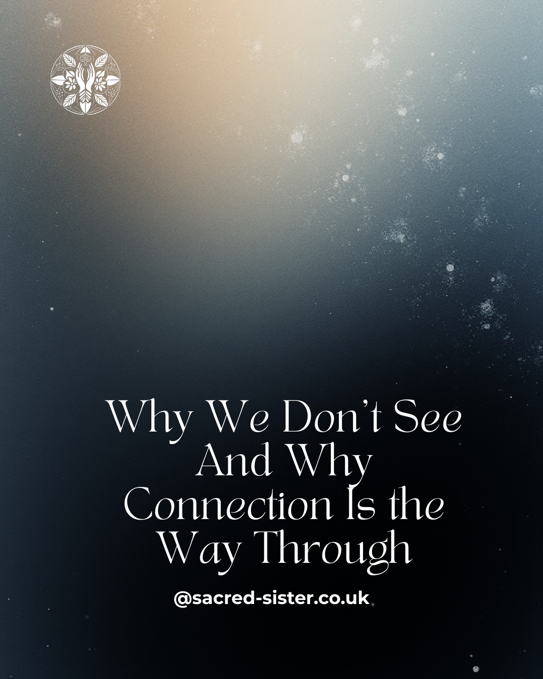 Why We Don’t See- And Why Connection Is the Way Through — Sacred Sister