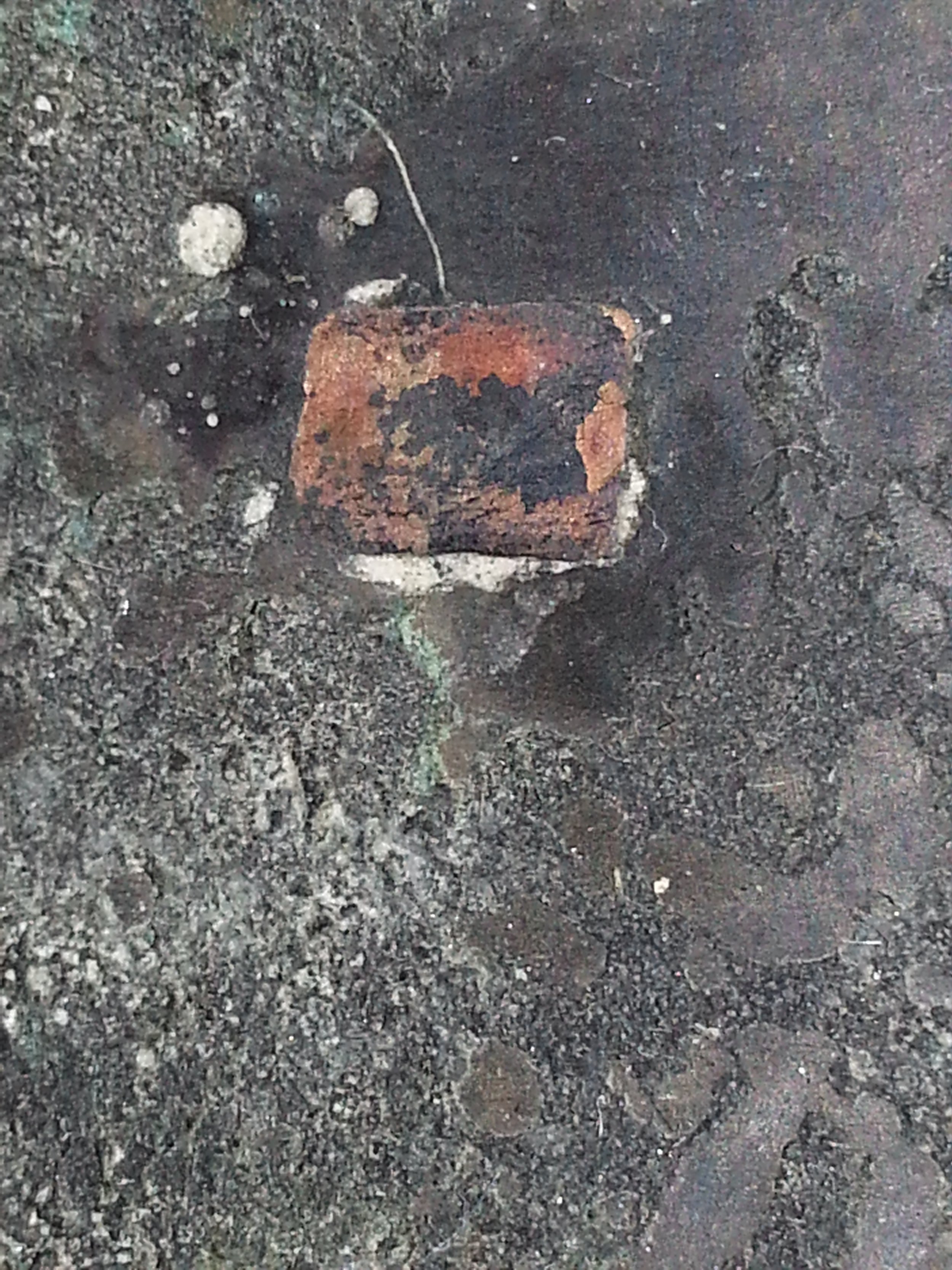 20131223_213915.jpg