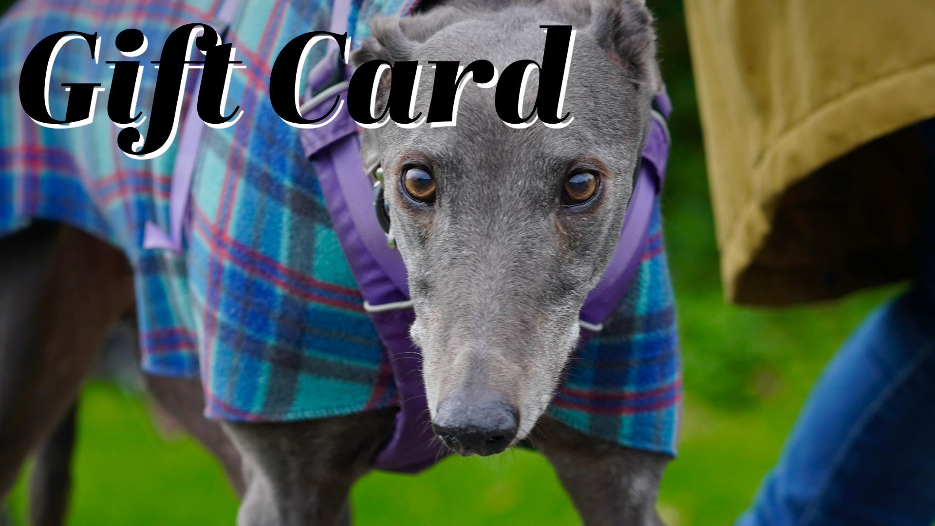 Gift Card - Multiple Values