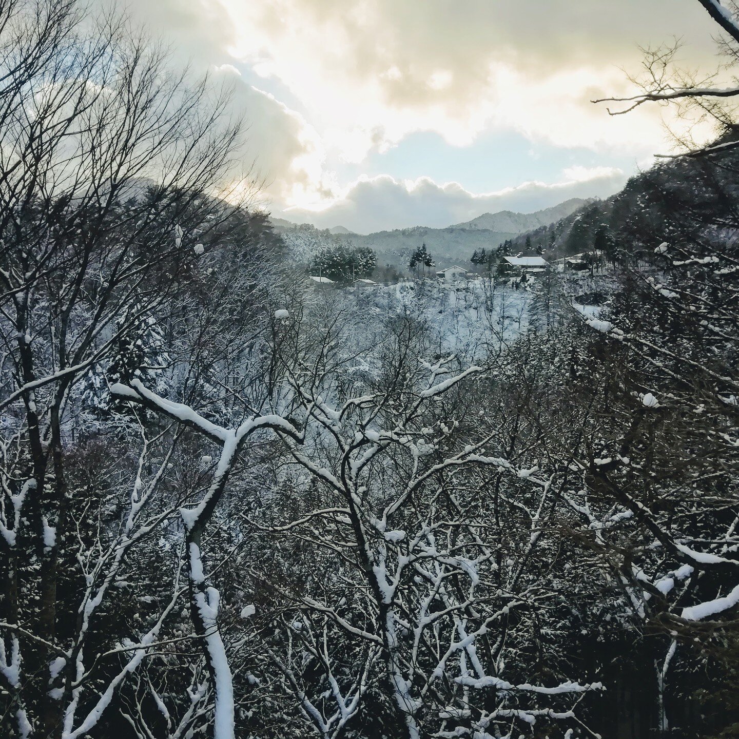 Otaki, snowed in
#otakivillage#kiso#ruraljapan#mtontake#japaninwinter#王滝村#木曽#御嶽山#冬景色
