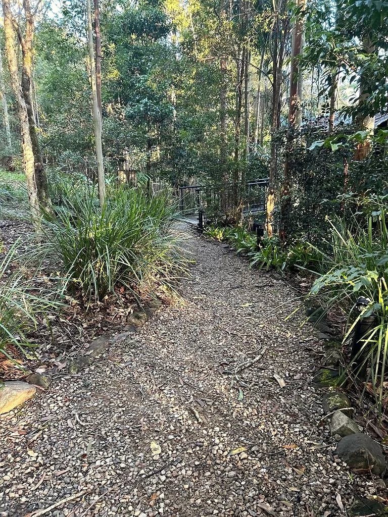 forest_pathway_enhanced.jpg