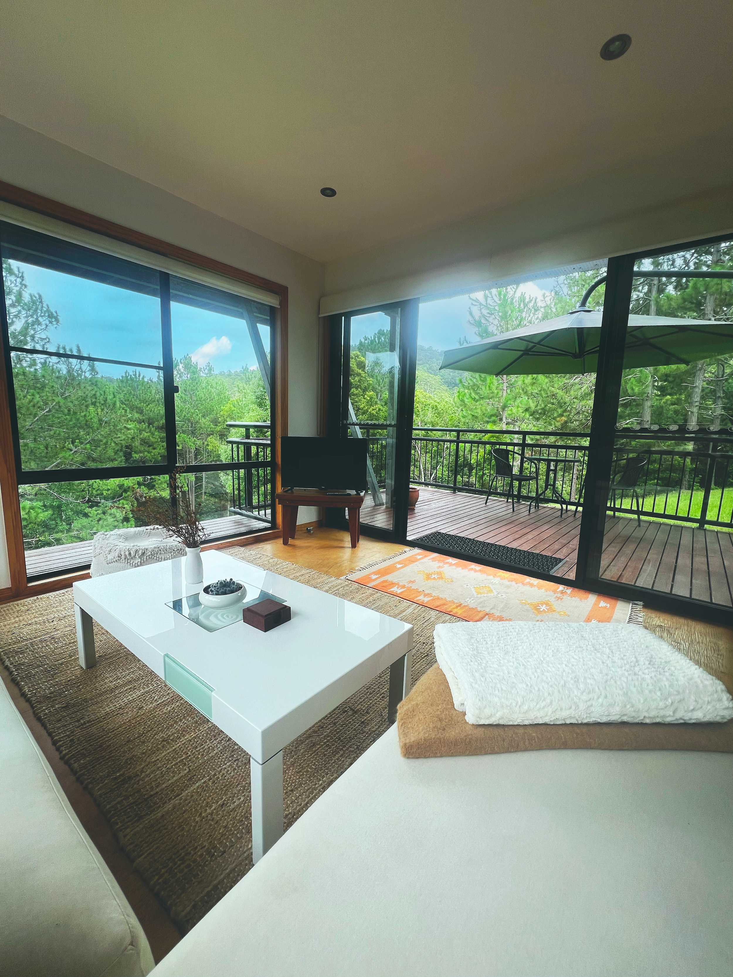 Lounge and deck .png