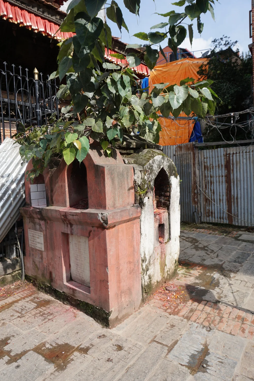  Photo: Nija Maharjan 