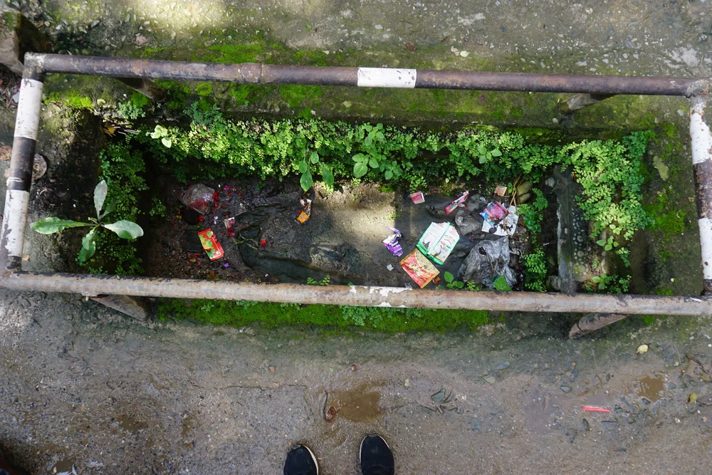  The Greens can appear in unexpected places. Photo: Nija Maharjan.  