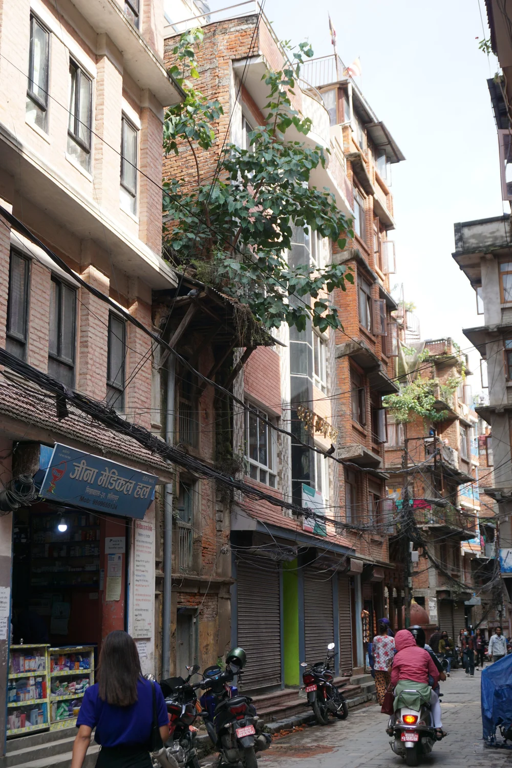  Photo: Nija Maharjan 