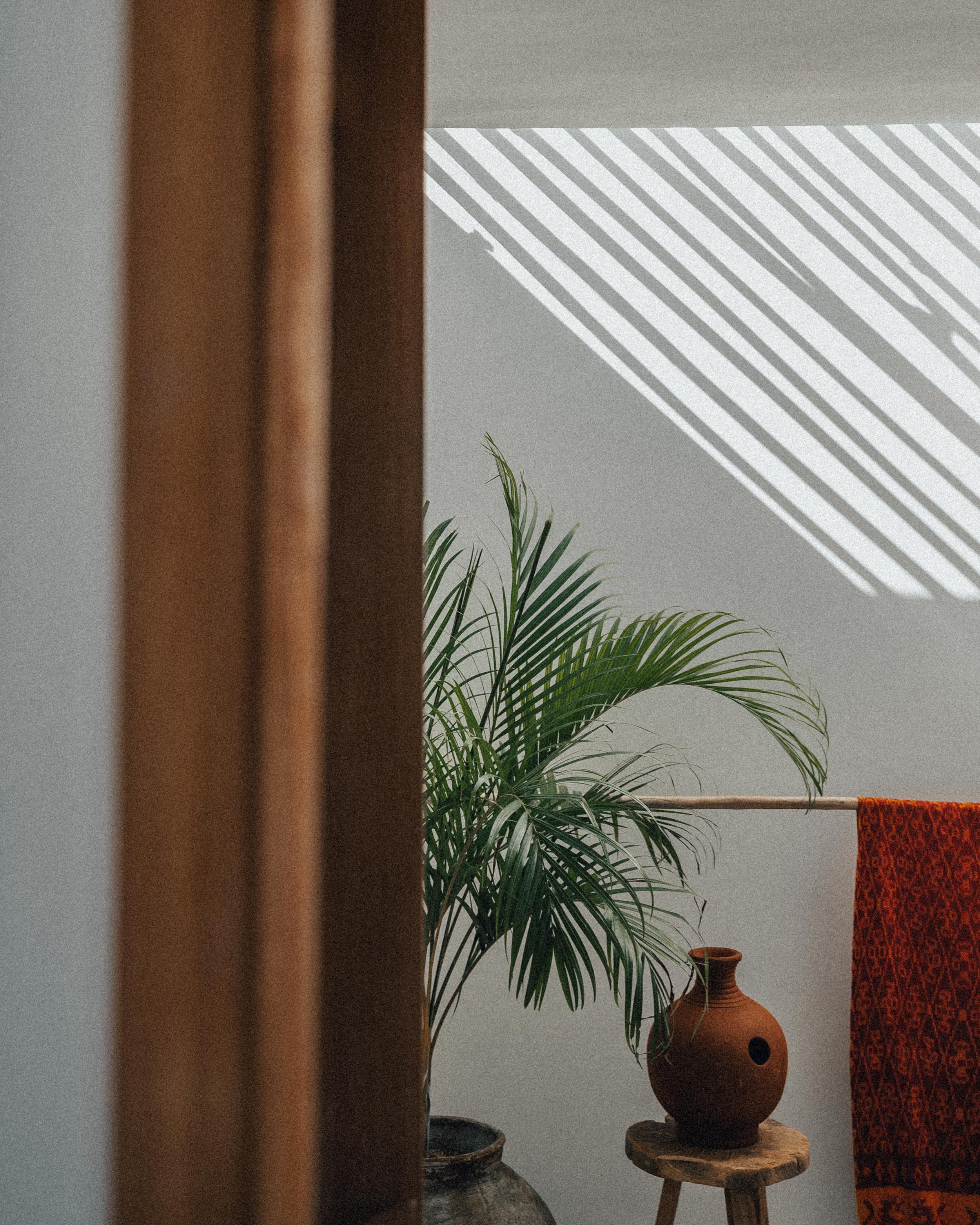 Interior space with a potted palm plant, clay vase on a wooden stool, orange patterned textile, and striped shadows on the wall.