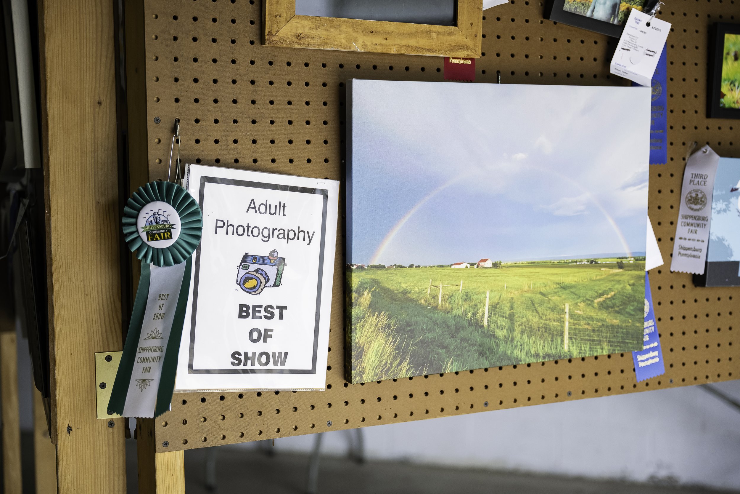 Ship Fair-4248.jpg